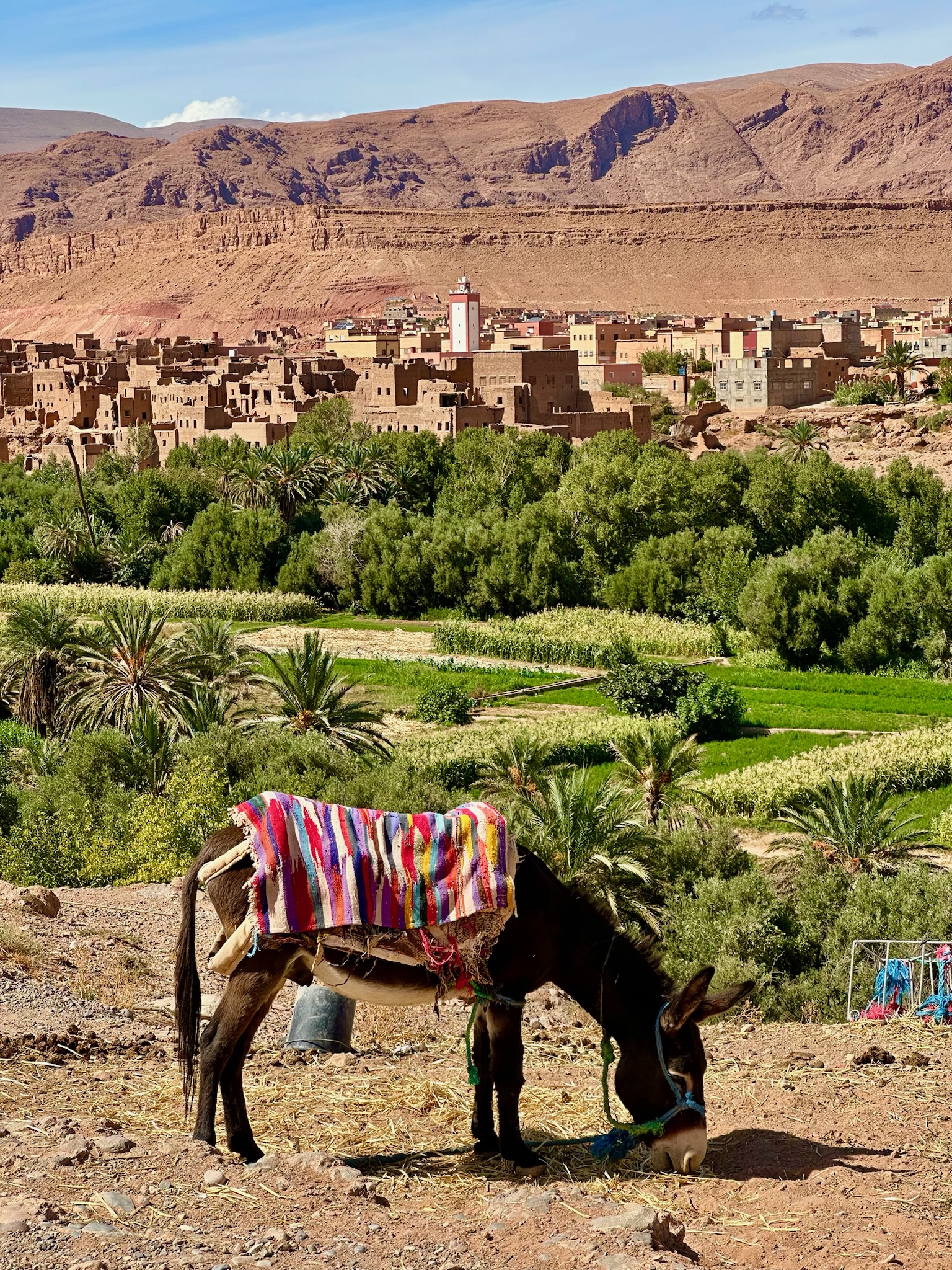 Марокко как в кино: дворцы, касбы, пустыня — всё лучшее за 8 дней (19/20)