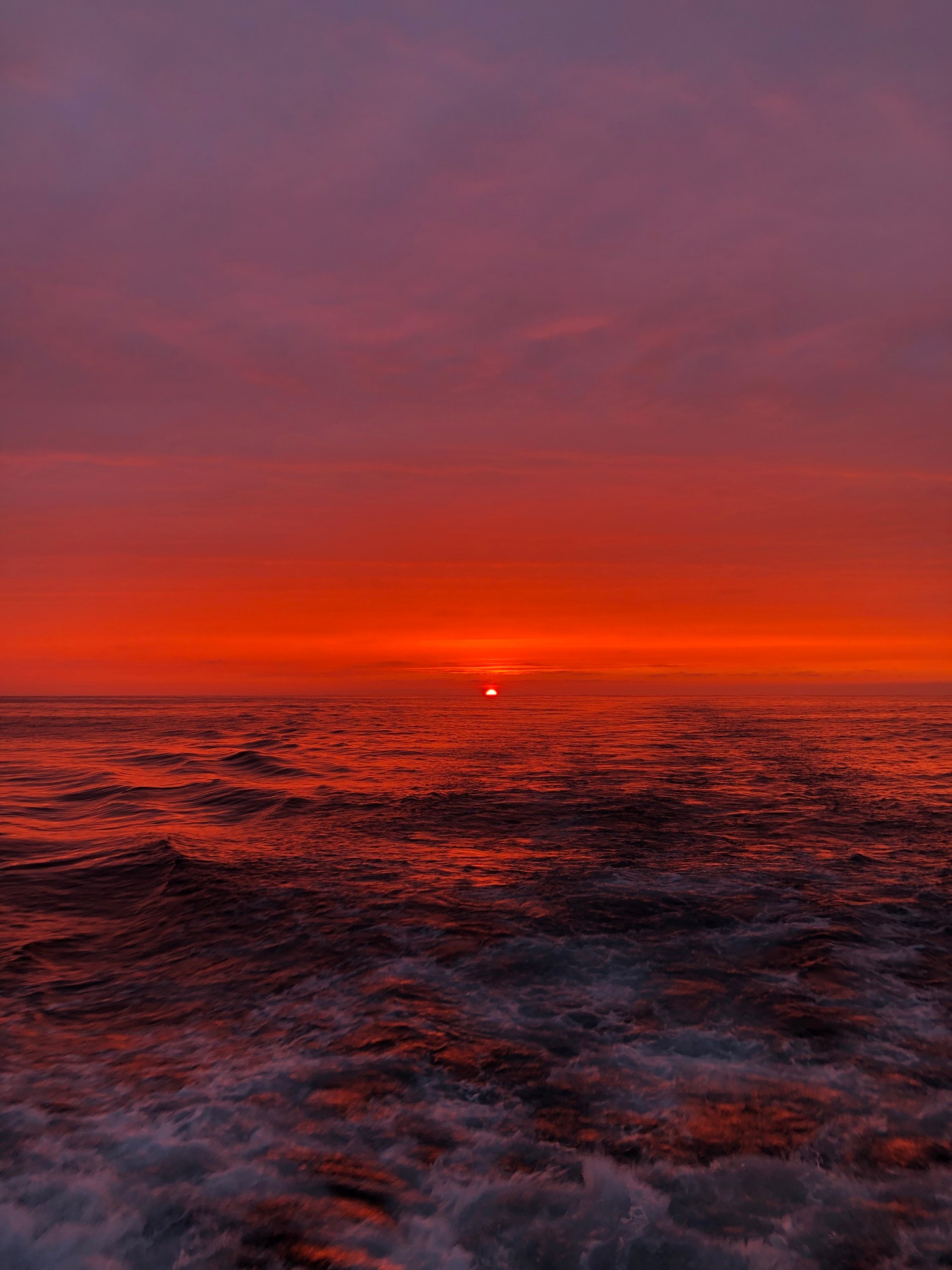 Экспедиционный круиз Камчатка-Северные Курилы (13/20)