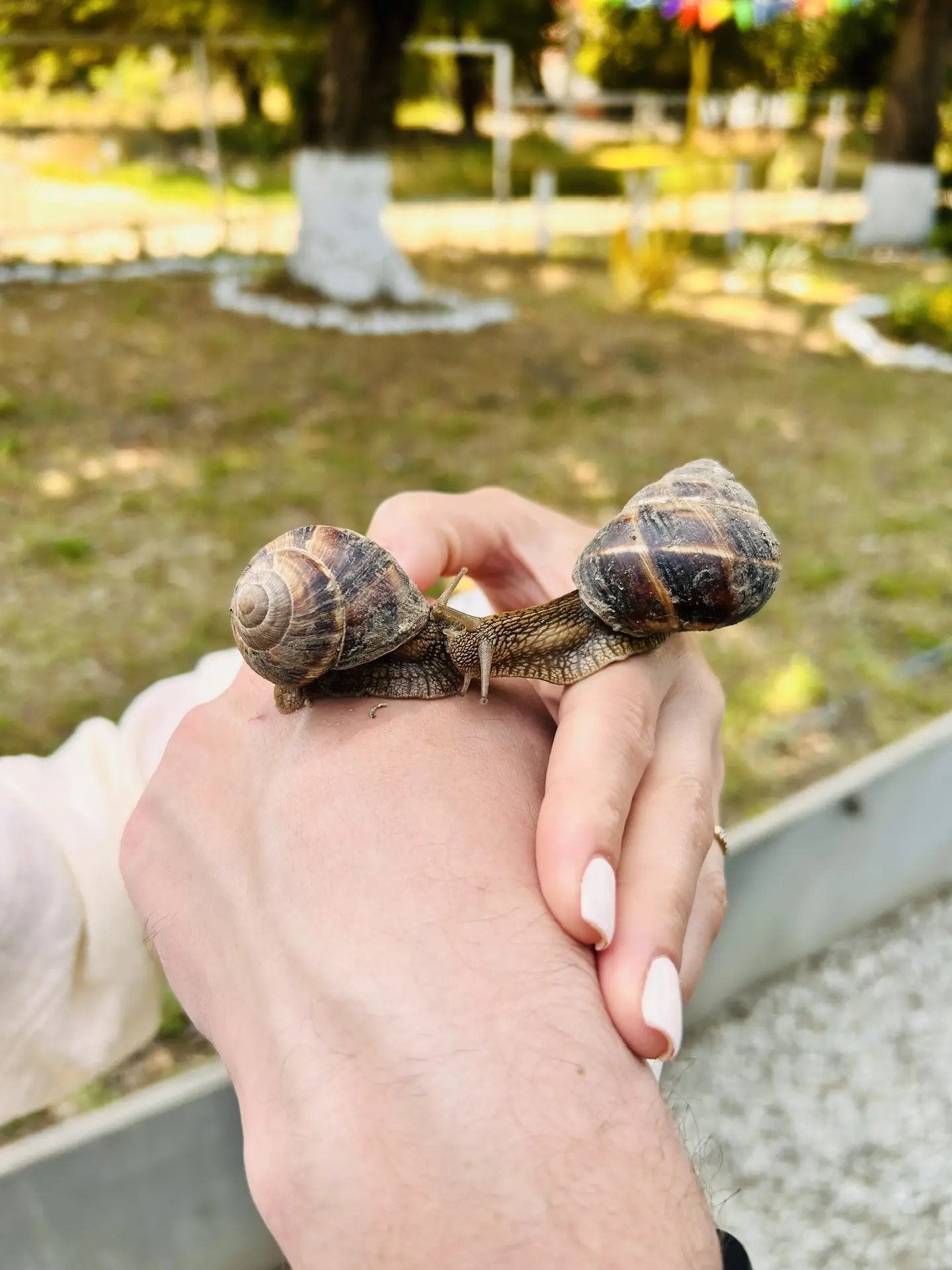 Гастрономический тур Вино&Море: Лавандовый бриз (24/24)