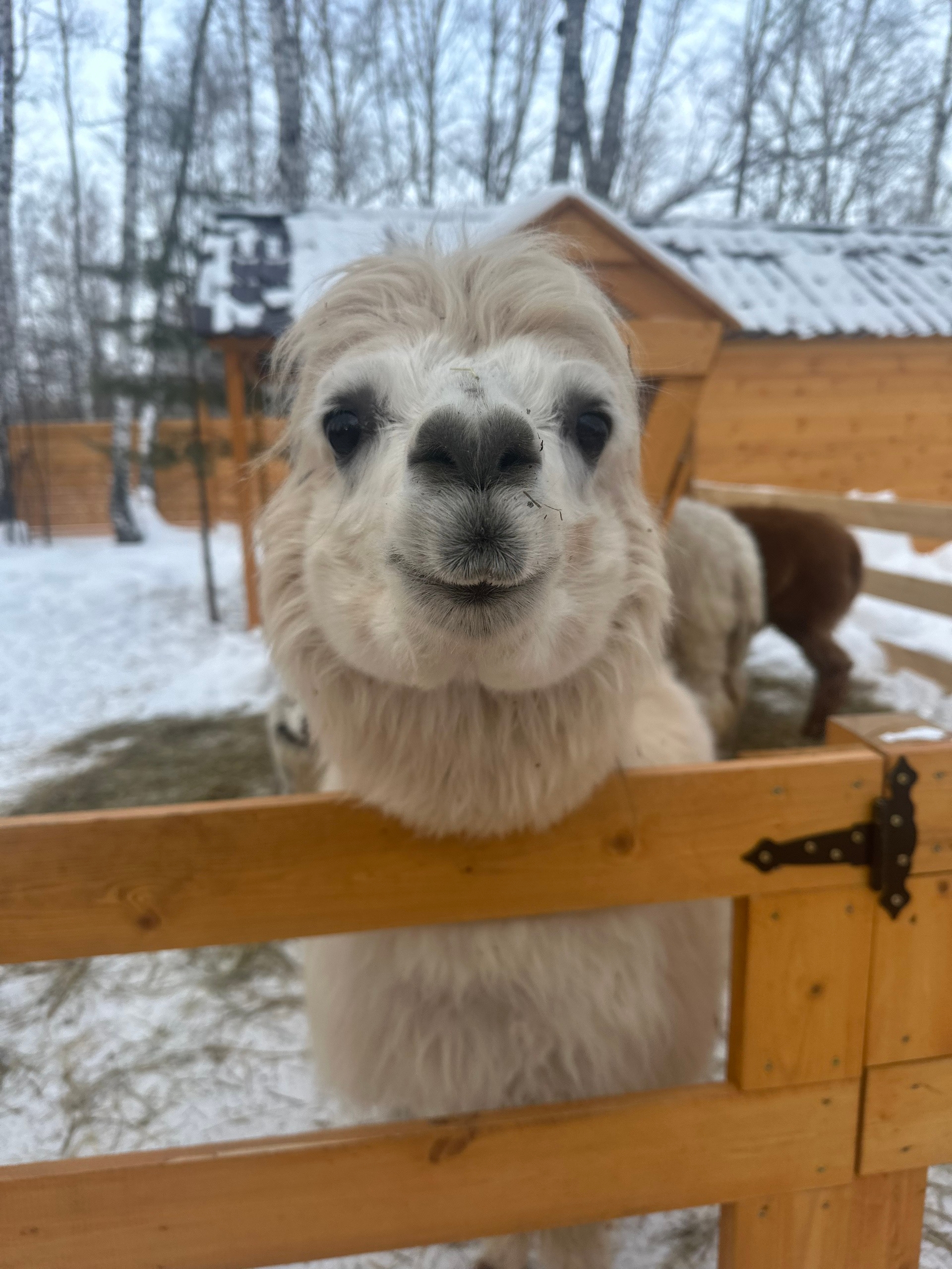 Barhunting в Тюмени (13/19)