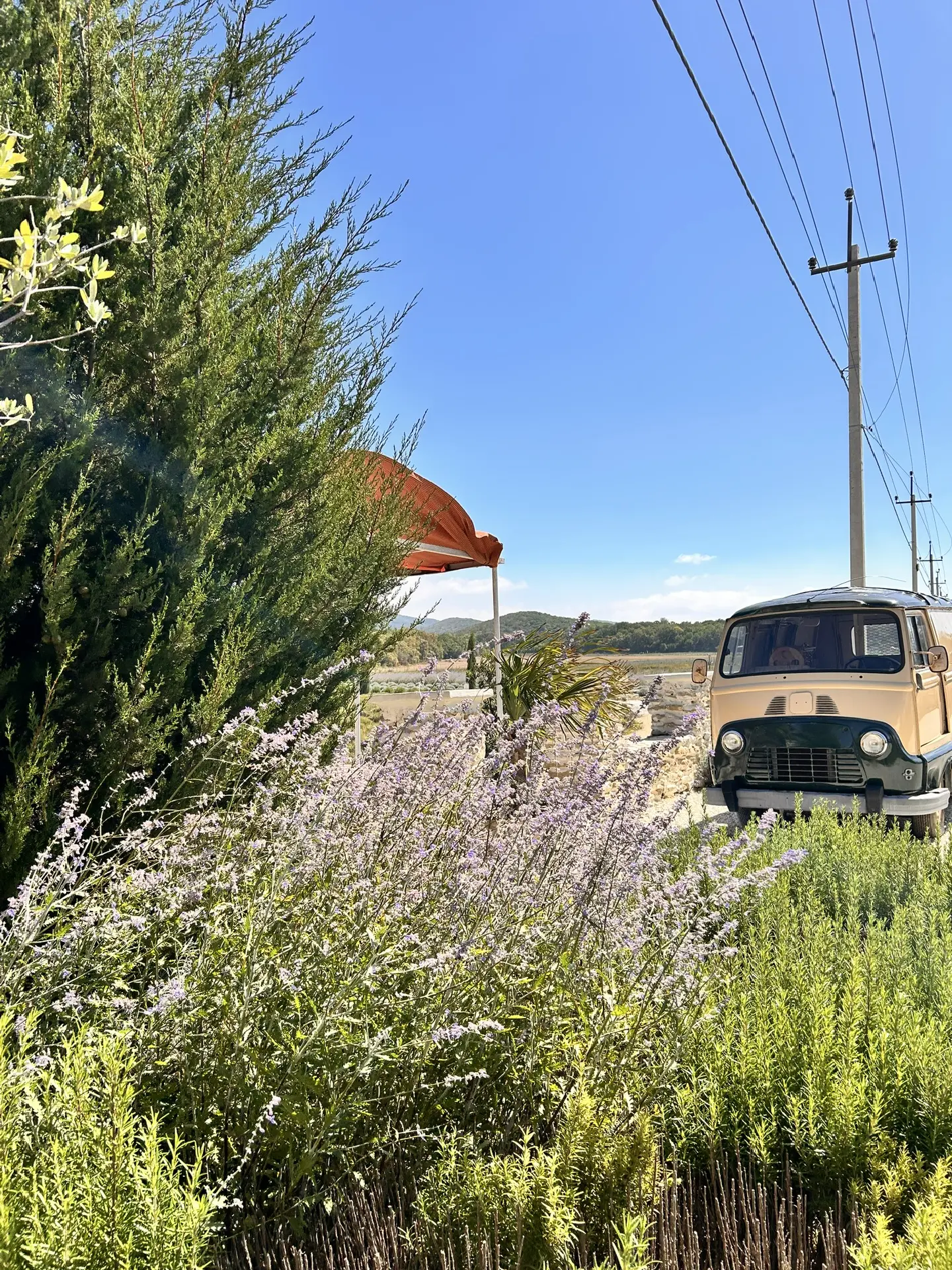 Гастрономический тур Вино&Море: Лавандовый бриз (9/24)