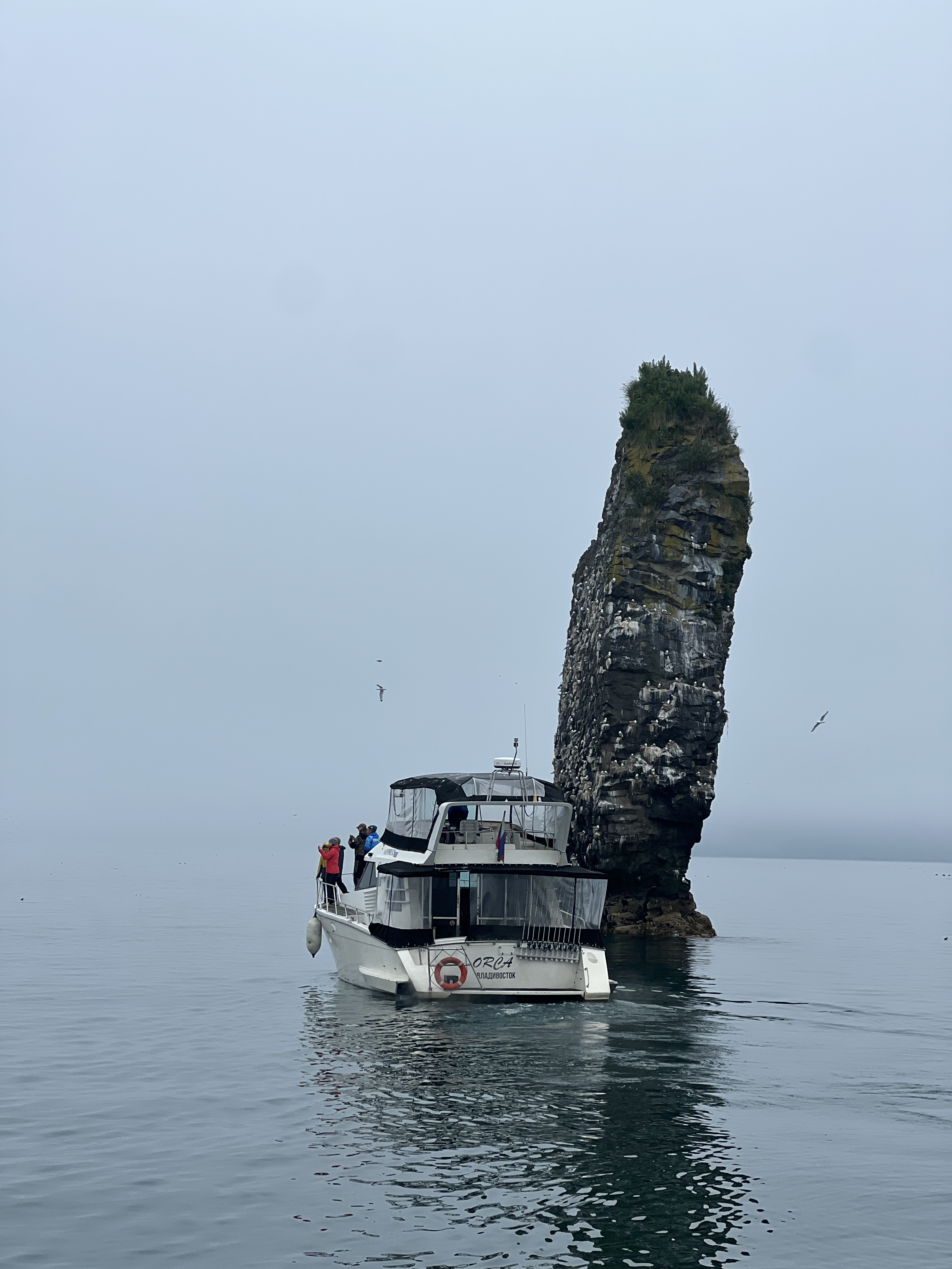 С Камчаткой на ты + спа отель, обеды от шефа (24/49)