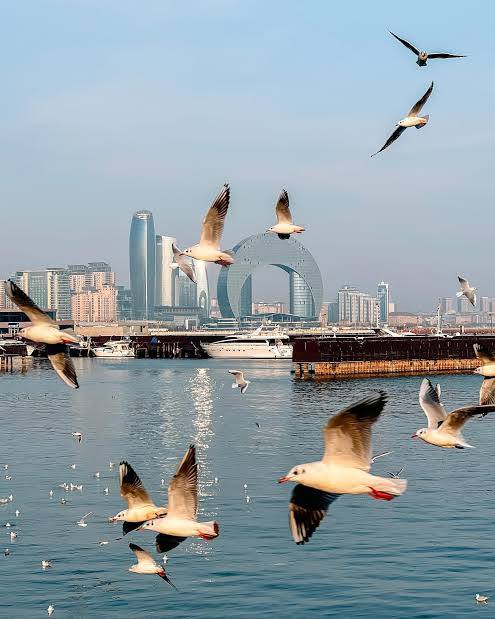 Обзорная экскурсия для транзитных путешественников (7/16)