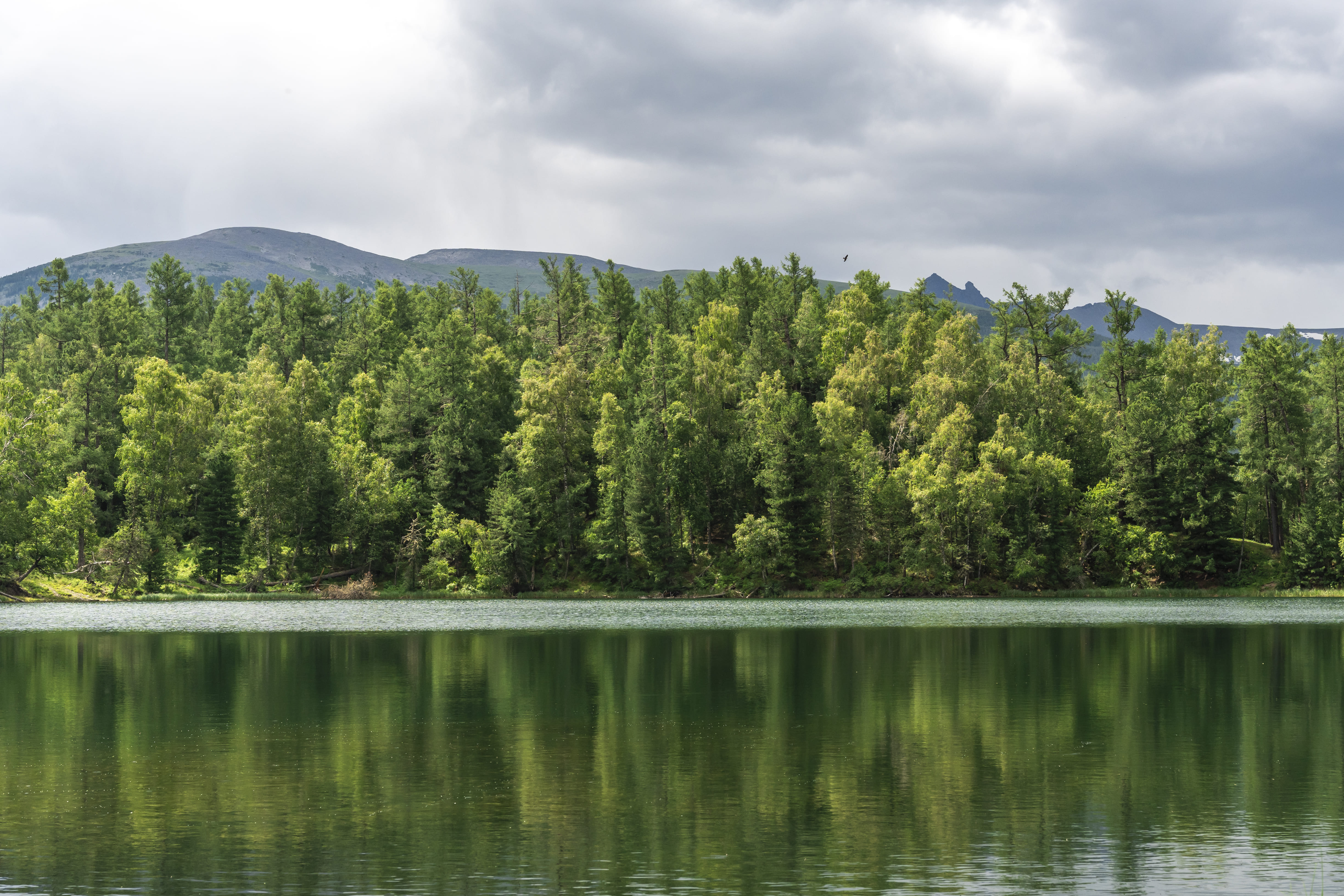 Погружение в Алтай 2026 (11/20)