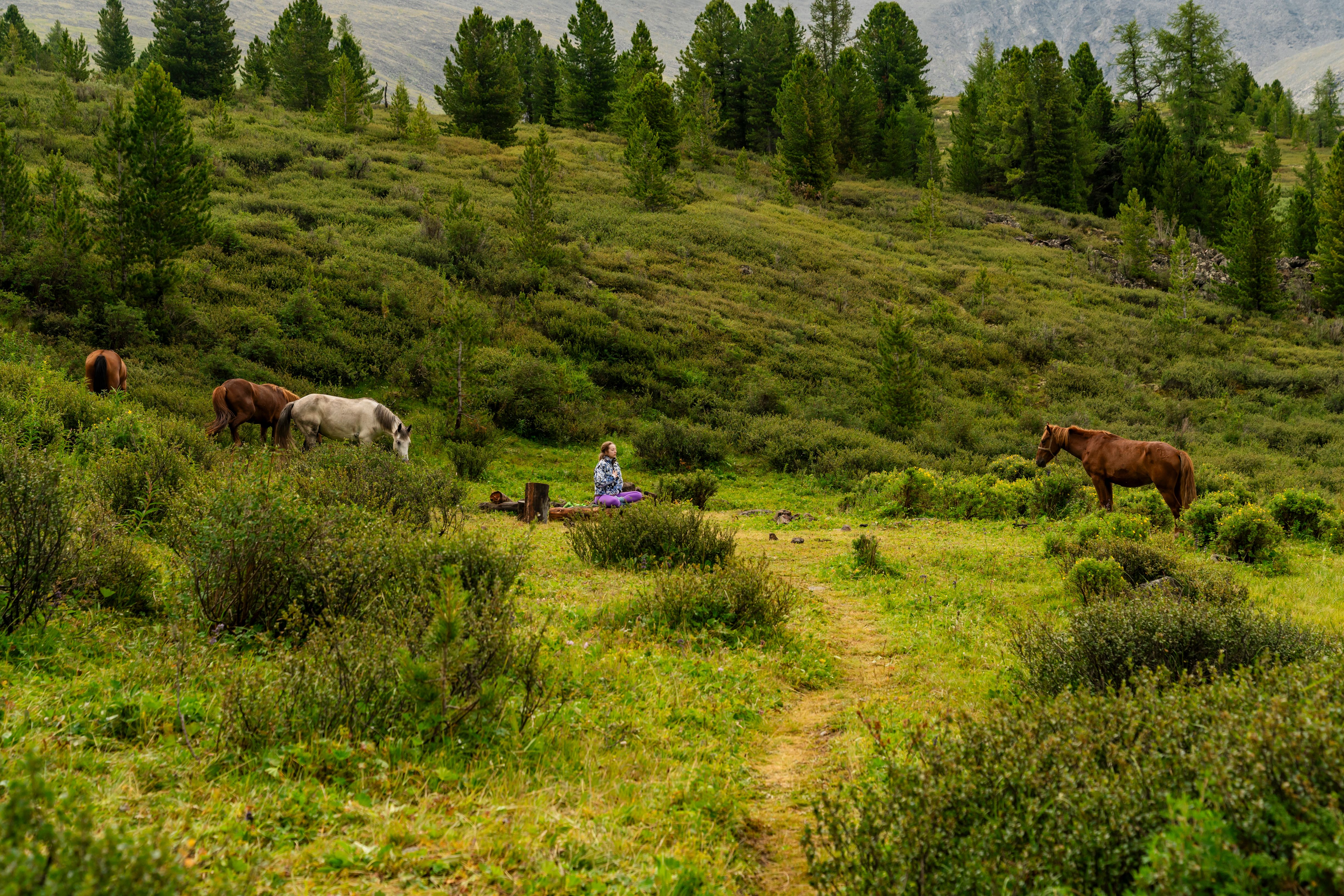 К подножью Белухи (21/35)