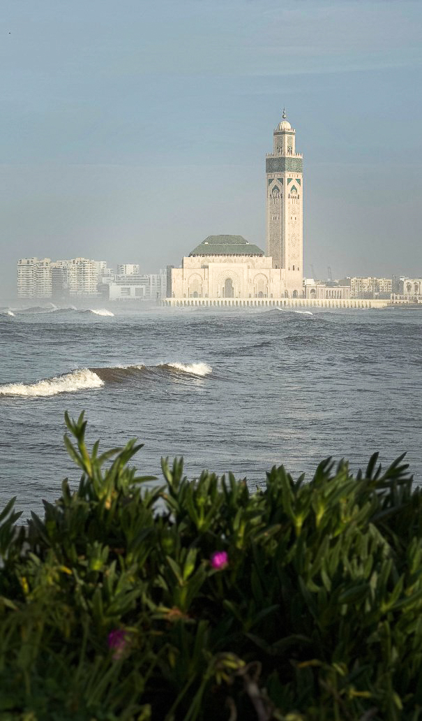 Марокко - горы и океан (комфорт тур) (29/52)
