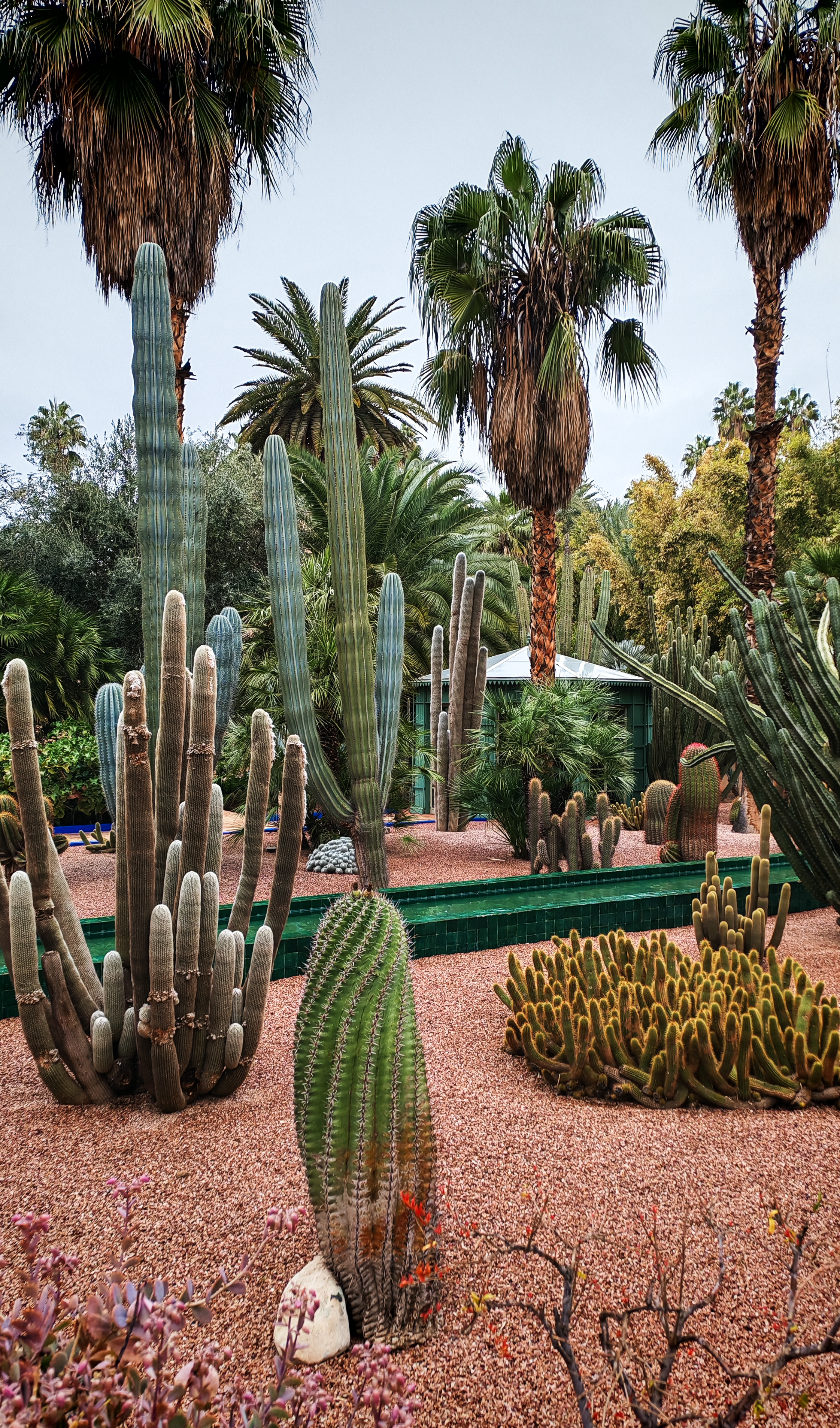 Марокко - горы и океан (комфорт тур) (25/52)