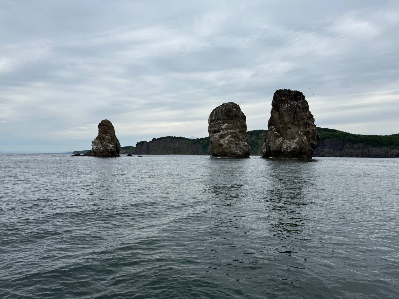 Экспедиционный круиз Камчатка-Северные Курилы (2/20)