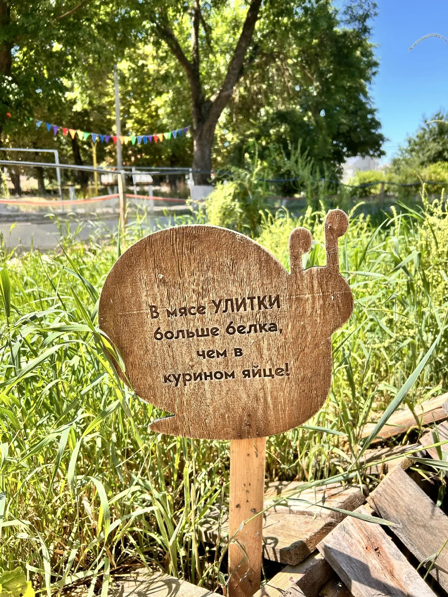 Гастрономический тур Вино&Море: Лавандовый бриз (11/24)