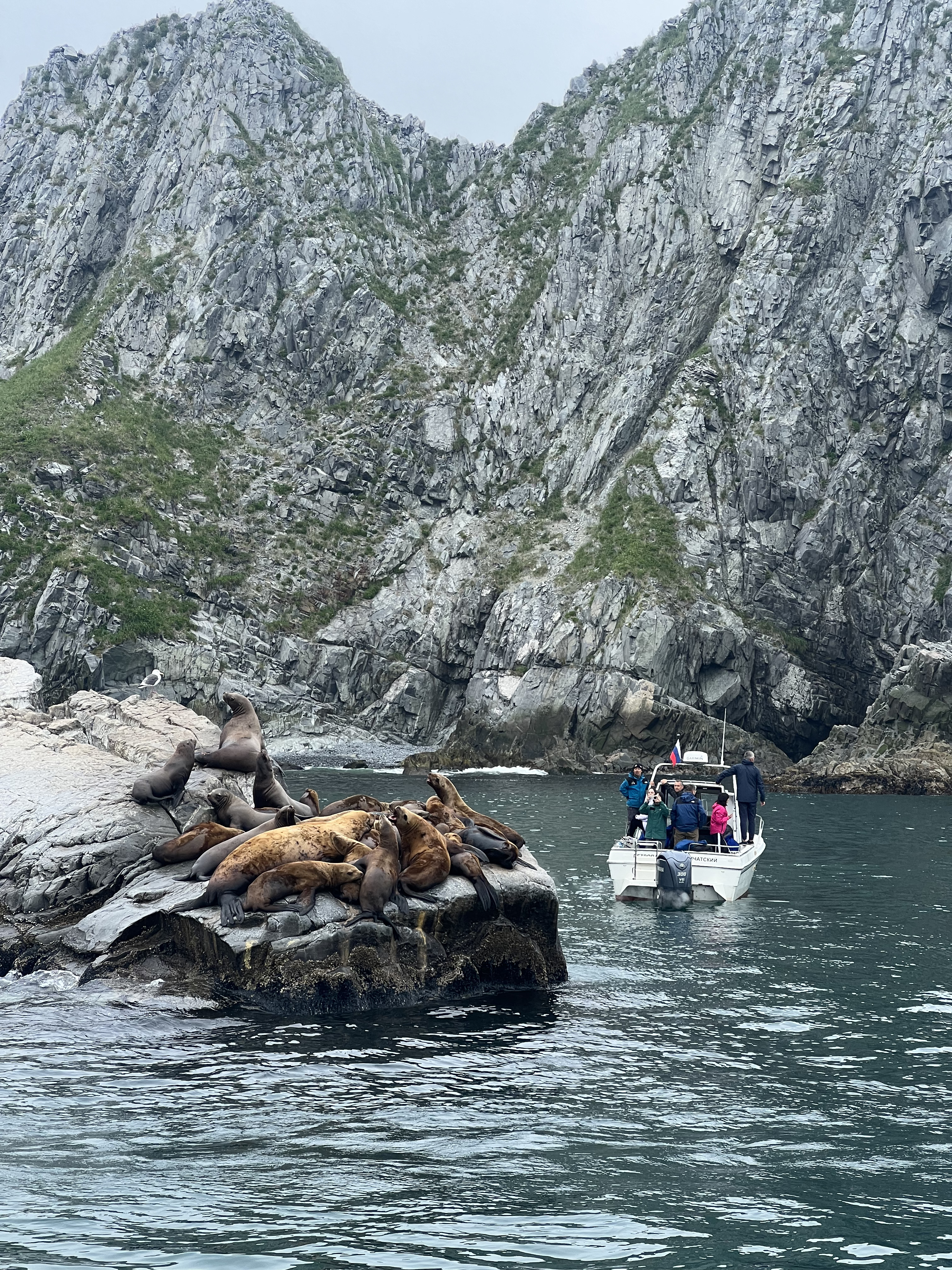 С Камчаткой на ты + спа отель, обеды от шефа (21/49)