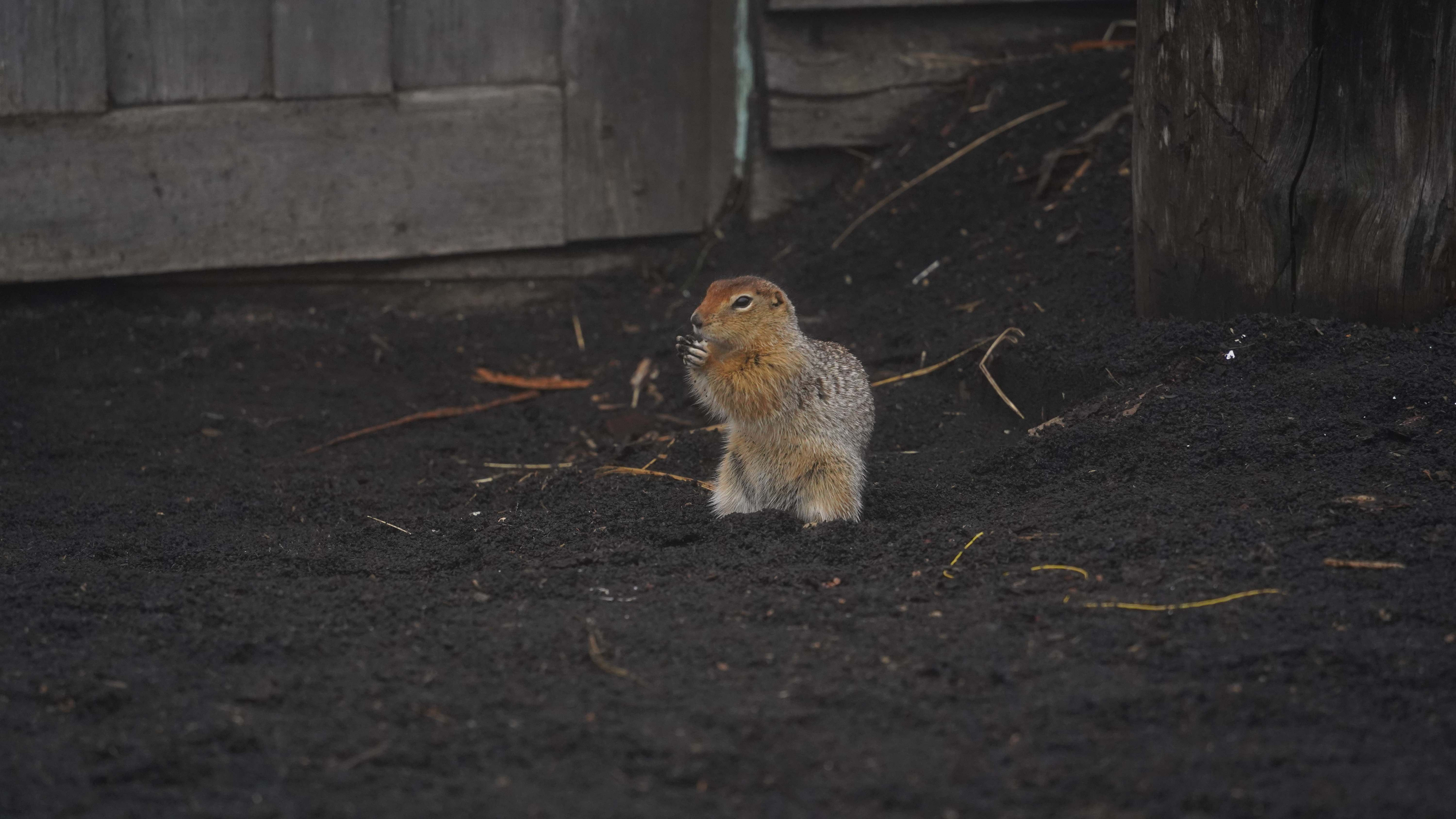 С Камчаткой на ты + спа отель, обеды от шефа (28/49)
