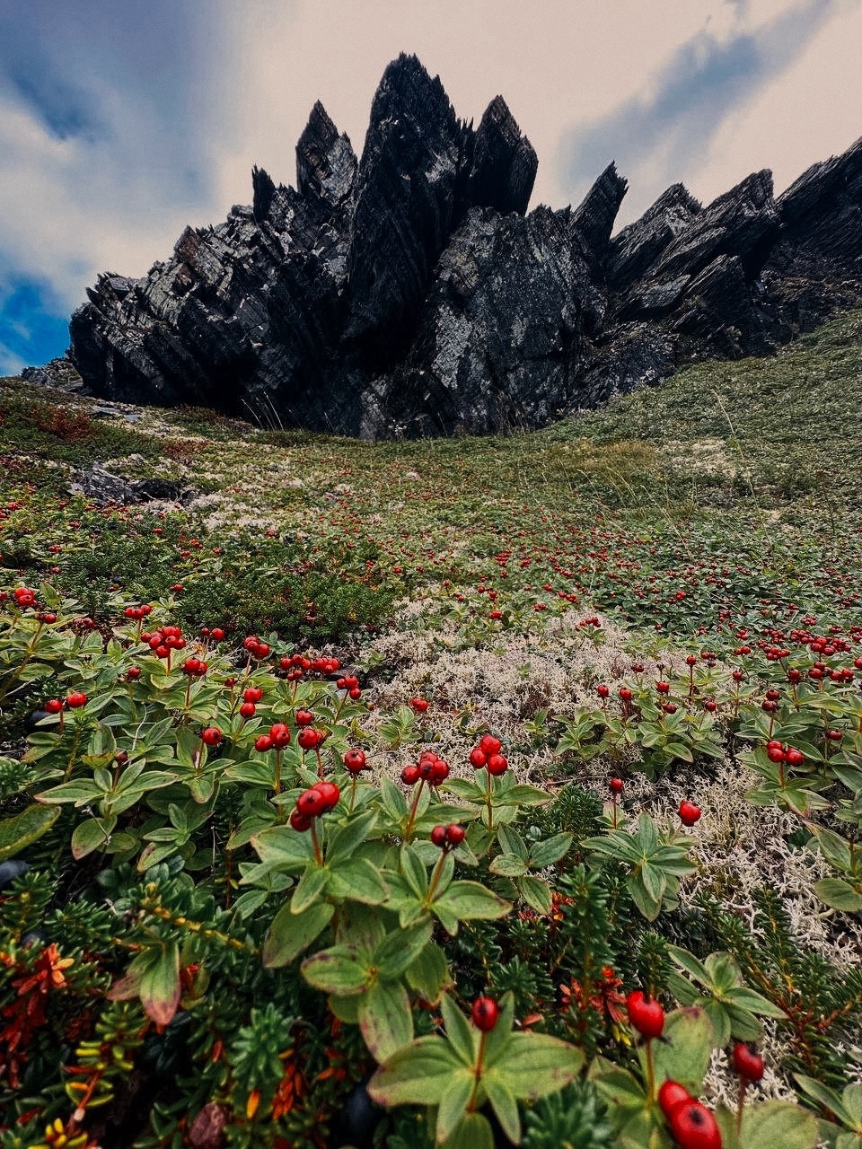 Полуострова Рыбачий и Средний, 3 дня на Кольском на максимуме! (5/16)