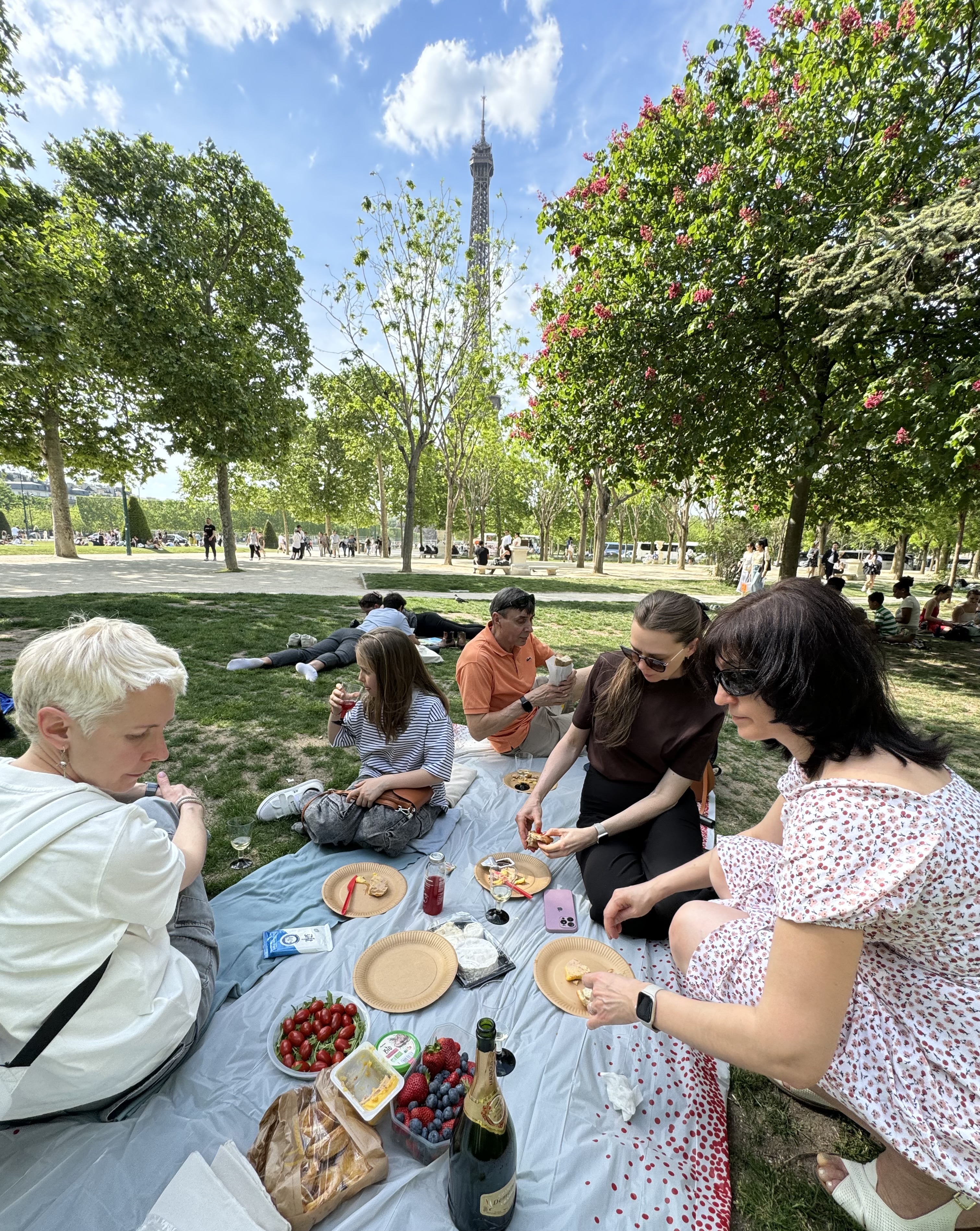 Тур в Париж, замок, Нормандия (96/116)