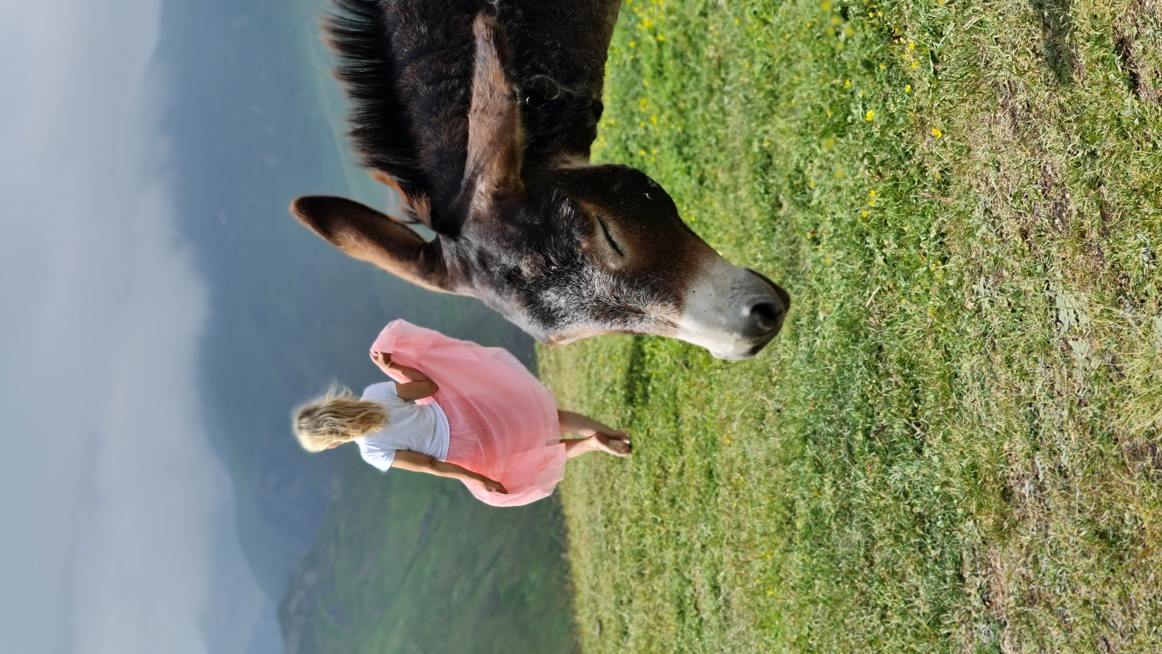 Горная Осетия и Ингушетия. Все важные локации за 6 дней. (12/18)