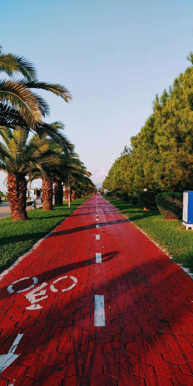 Грузия. В Батуми на концерт Меладзе. Пляж, горы и водопады (17/59)