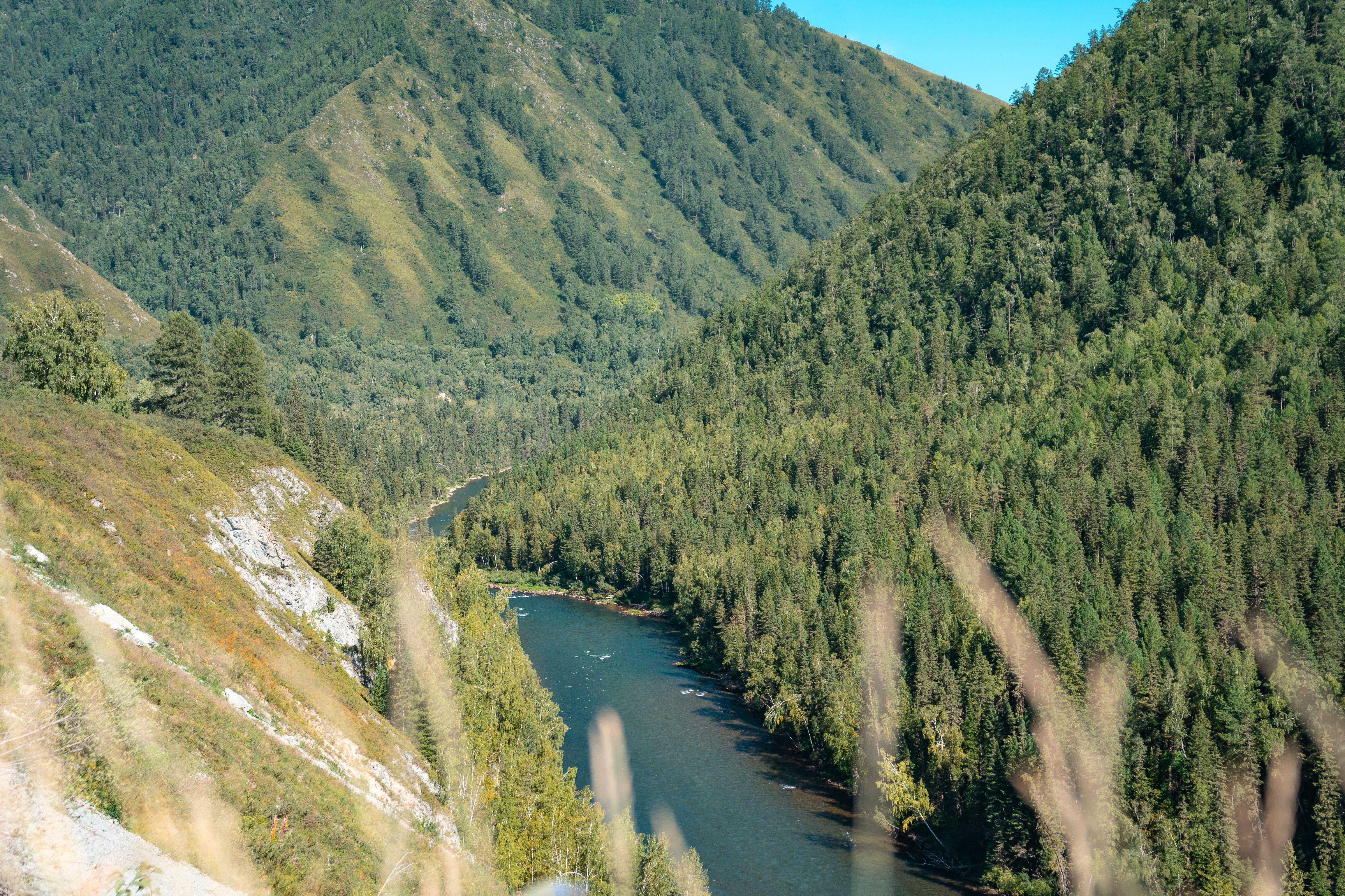 К подножью Белухи (19/35)