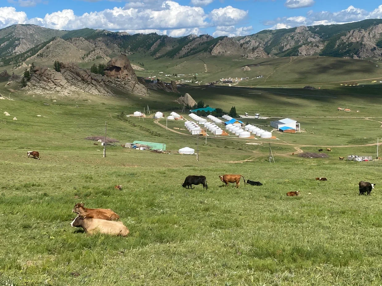 Силой Вечного Неба (11/15)