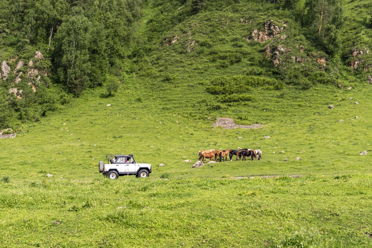 Погружение в Алтай: кони, сплав, трекинг/уазинг (1/21)