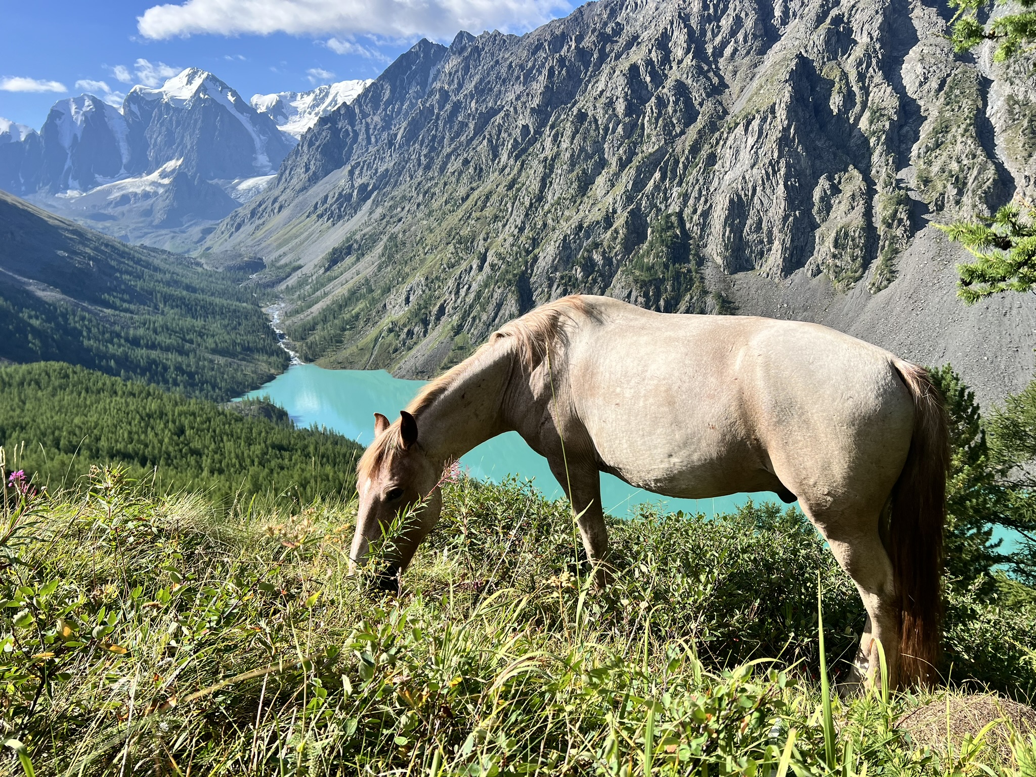 Треккинг в долину реки Маашей, к Шавлинским и Каракабакским озерам (20/30)