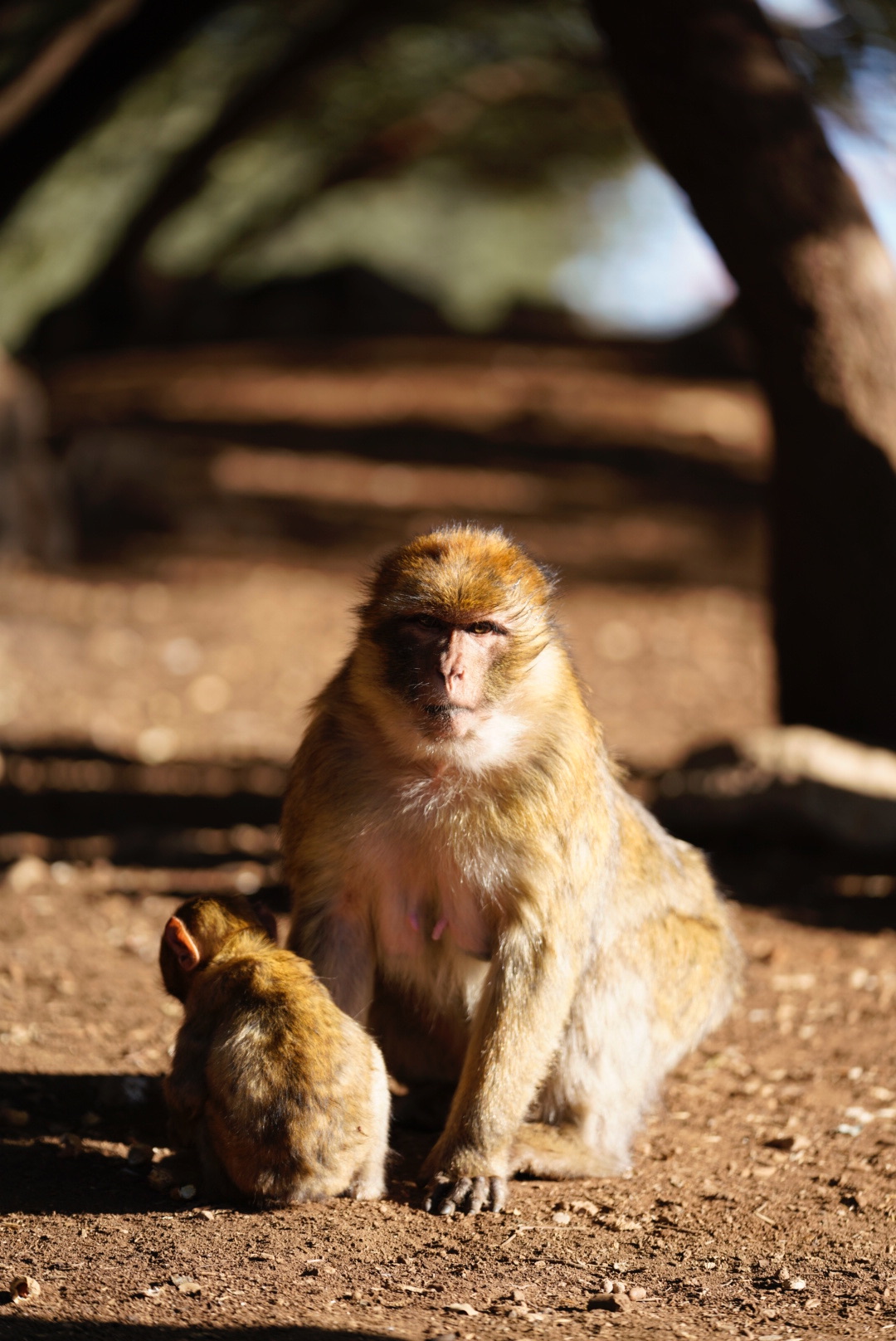 Марокко как в кино: дворцы, касбы, пустыня — всё лучшее за 8 дней (13/20)