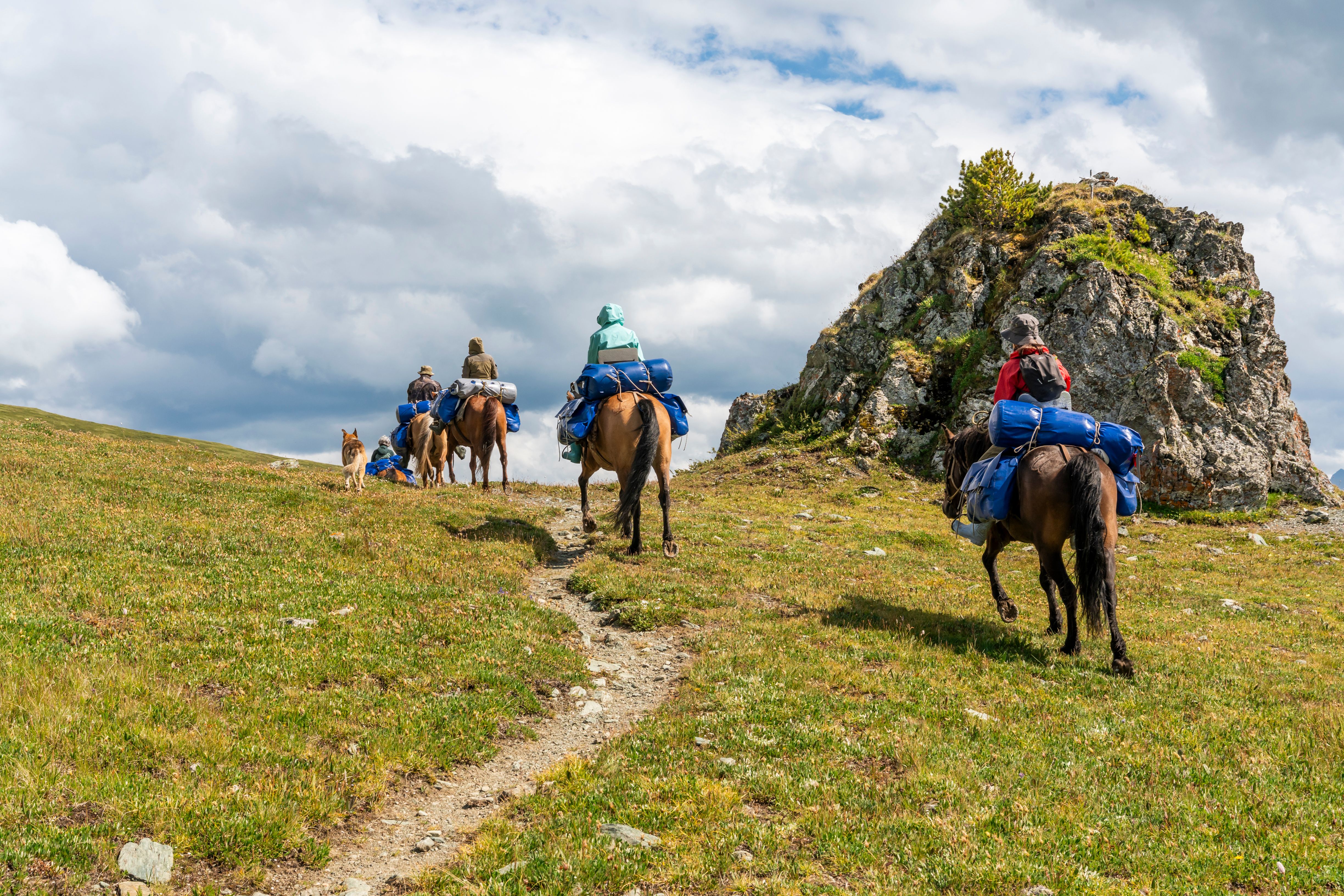 К подножью Белухи (22/35)