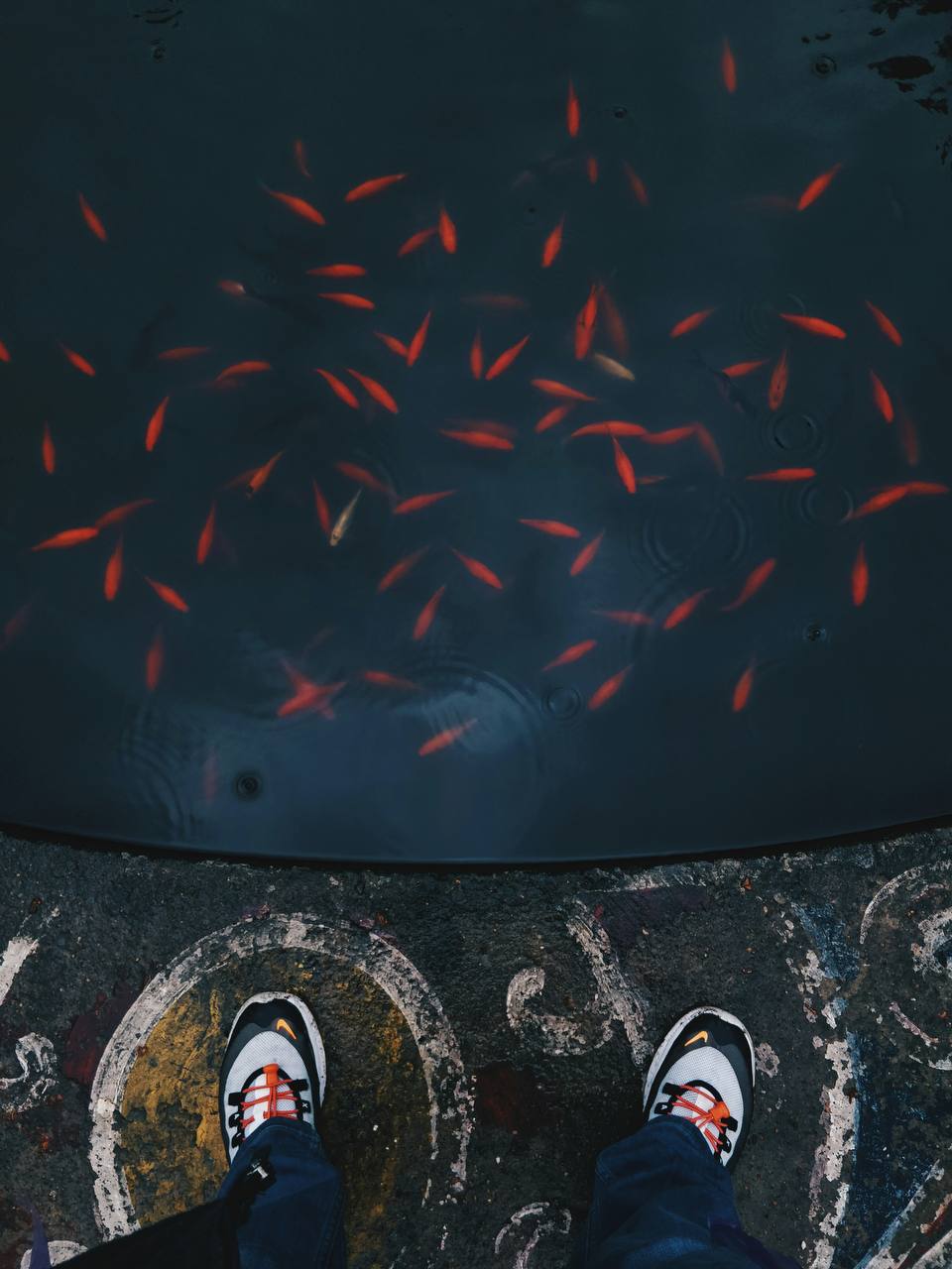 Грузия. В Батуми на концерт Меладзе. Пляж, горы и водопады (13/59)