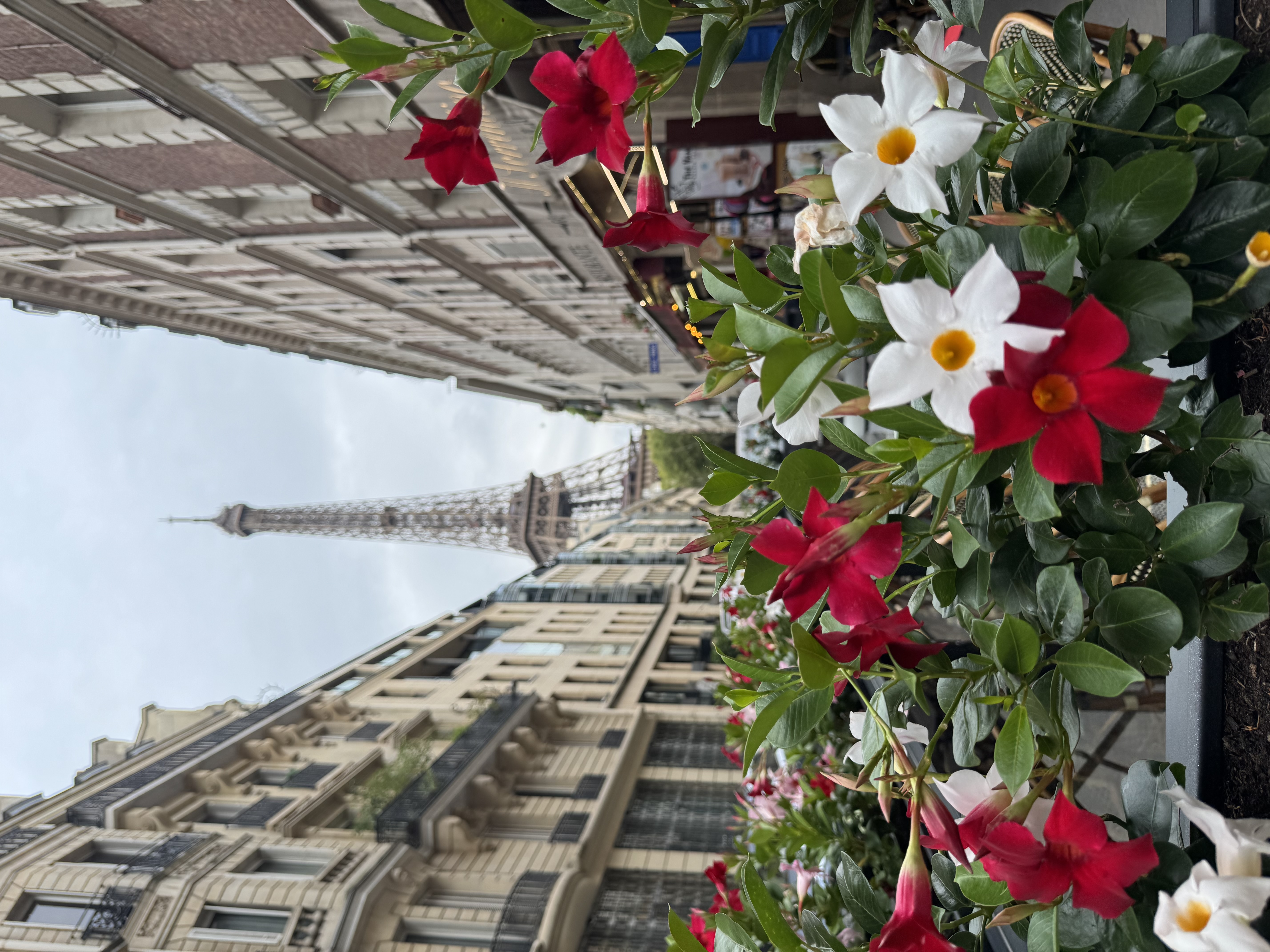 Тур в Париж, замок, Нормандия (86/116)