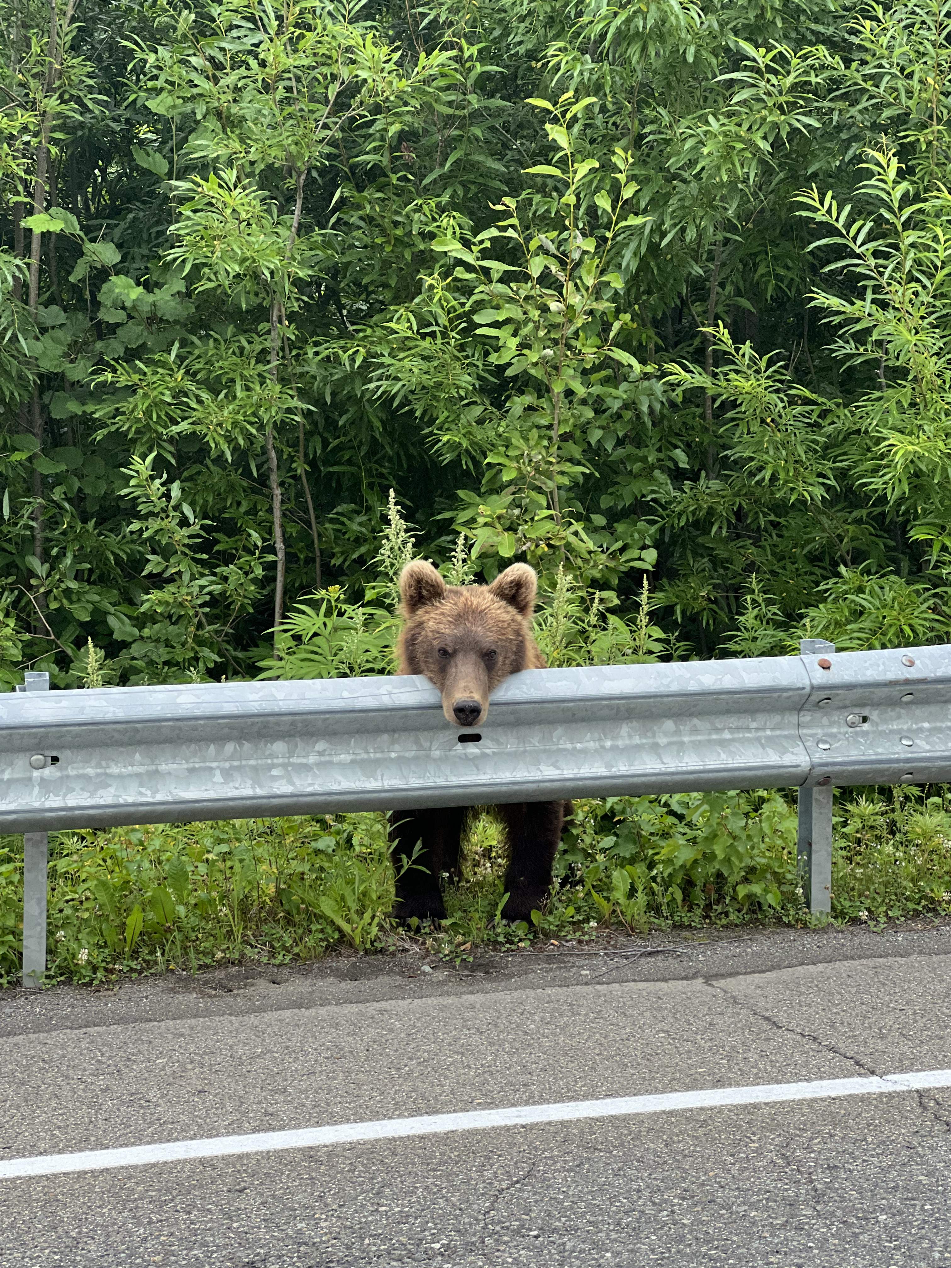 С Камчаткой на ты + спа отель, обеды от шефа (49/49)