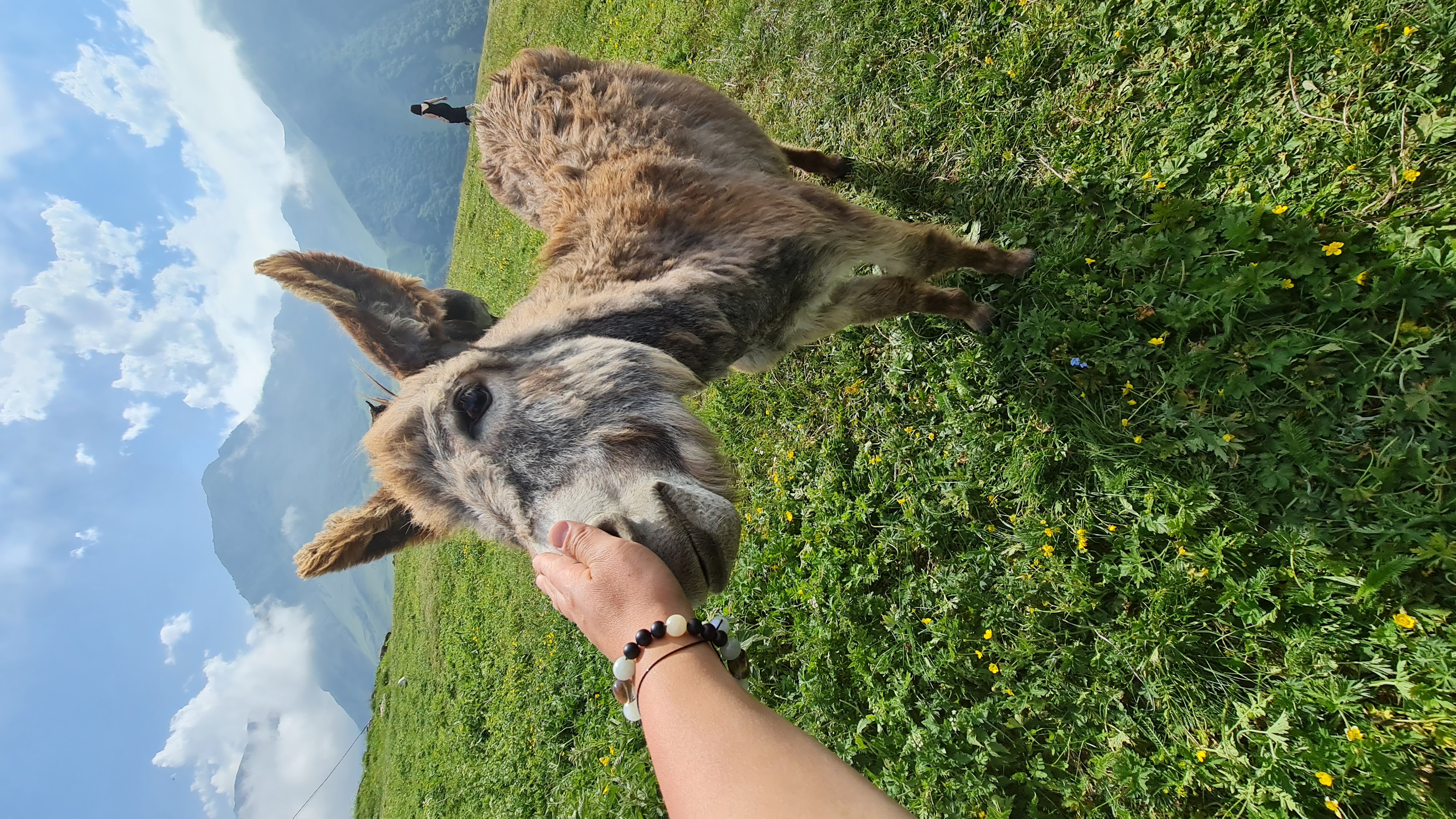 Горная Осетия и Ингушетия. Все важные локации за 6 дней. (16/18)