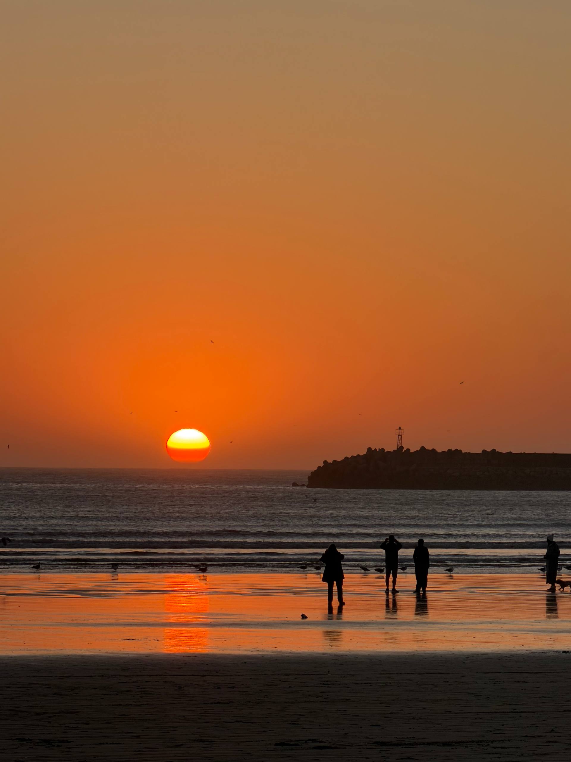Имперские города + синий город (Полупансион) (19/22)
