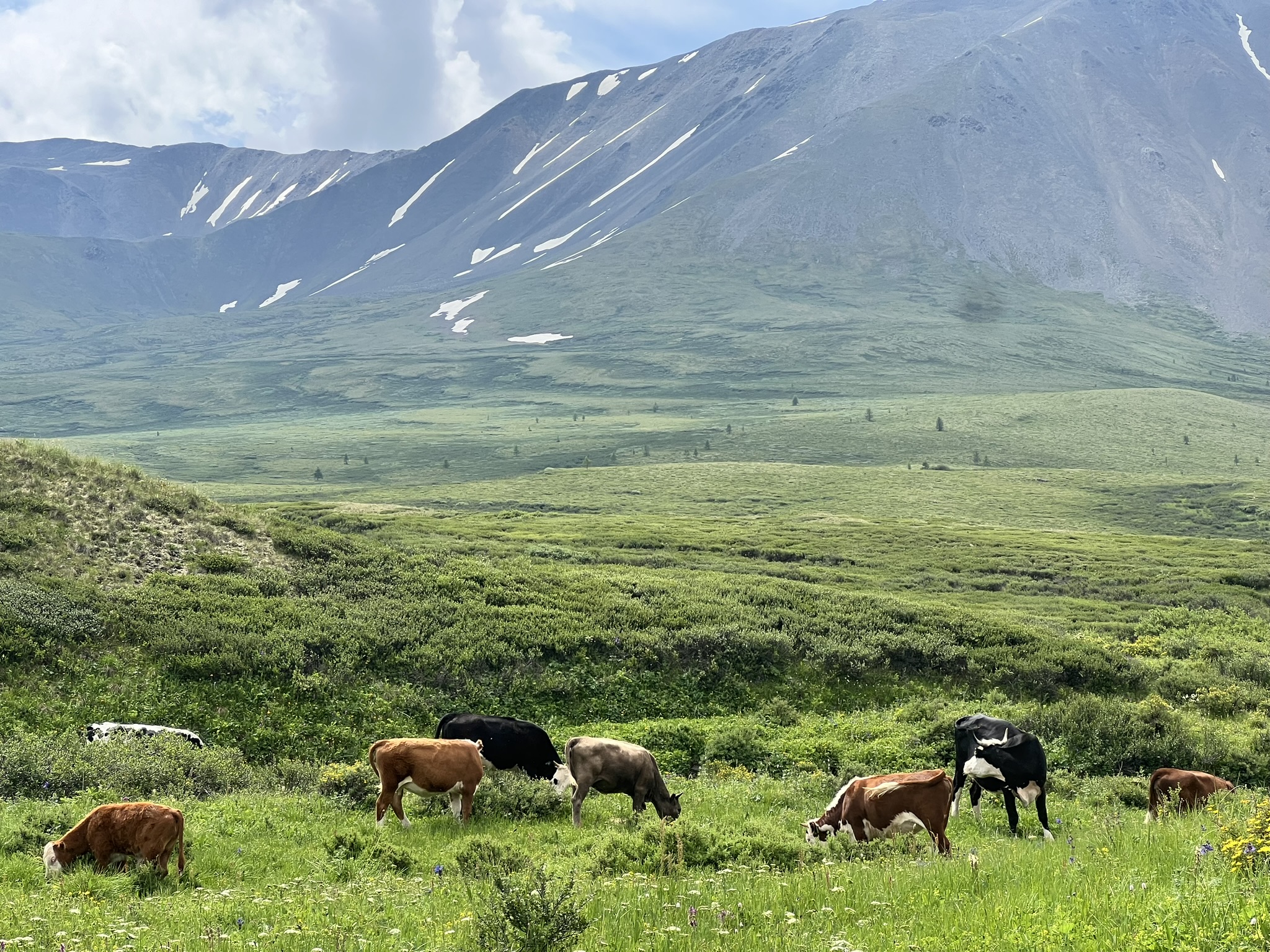 Треккинг в долину реки Маашей, к Шавлинским и Каракабакским озерам (26/30)