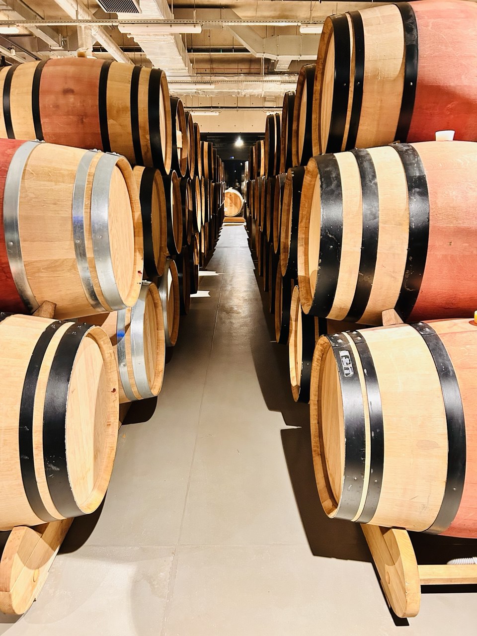 Гастрономический тур Вино&Море: Дыхание озер (13/13)