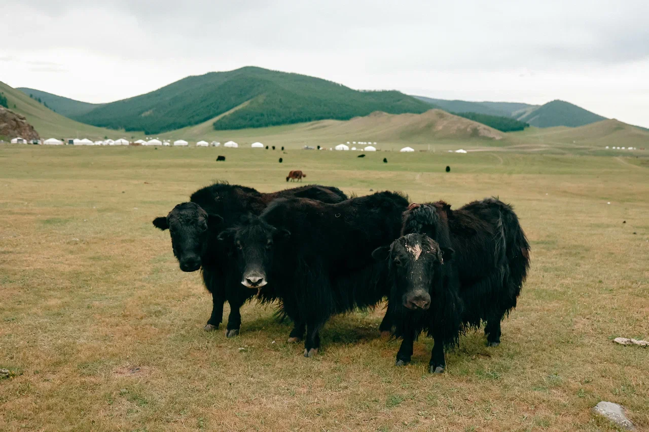 Силой Вечного Неба
