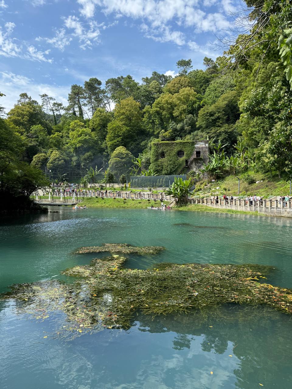 Горно-морская Абхазия 5д/4н (9/17)