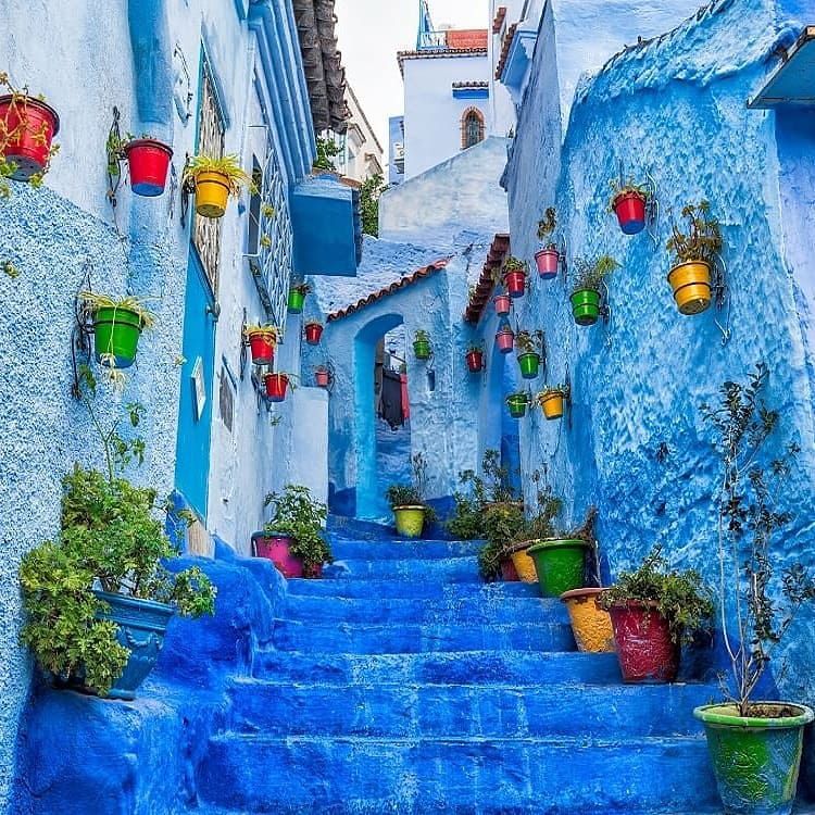 Имперские города + синий город (Полупансион) (8/22)