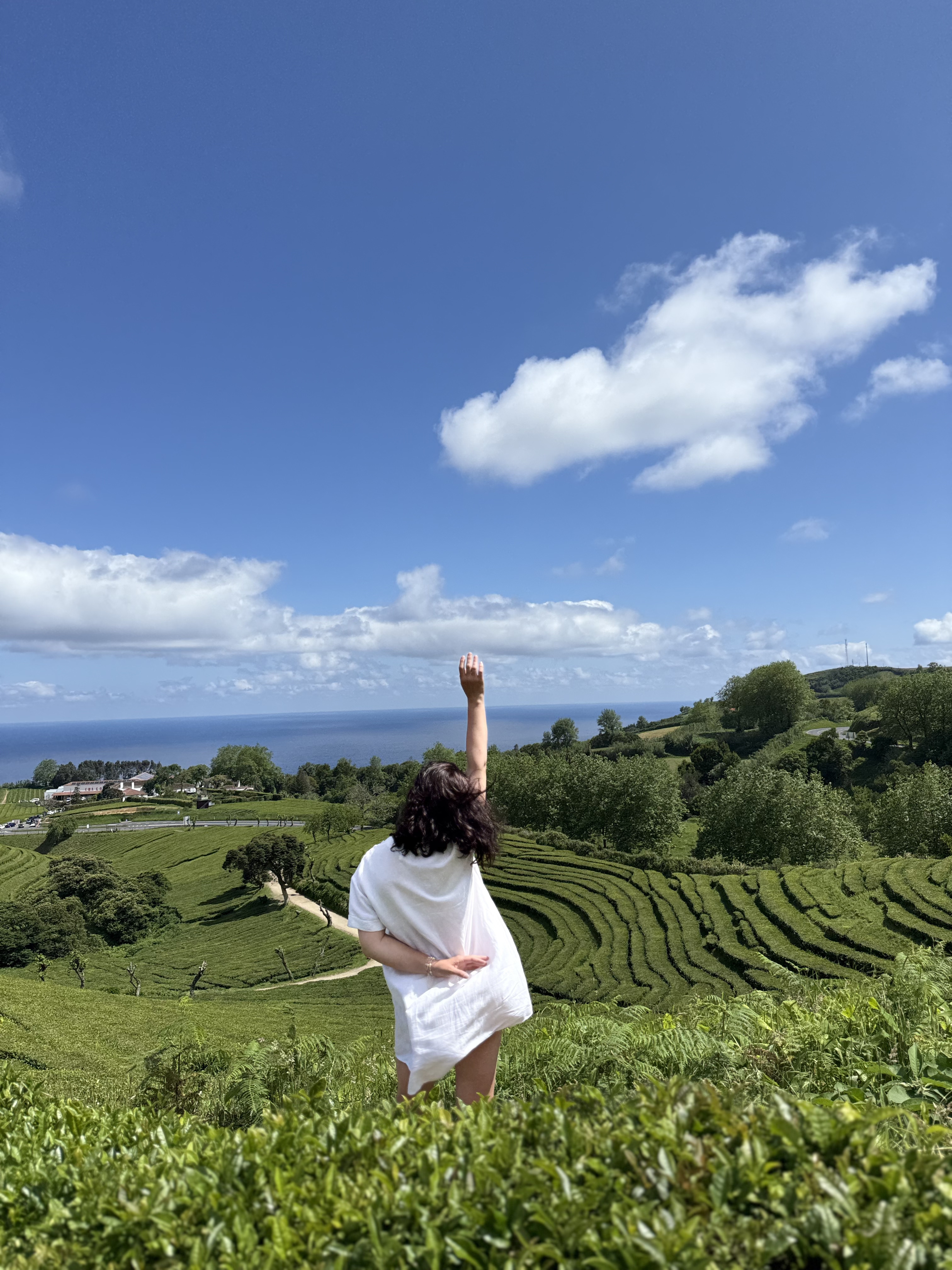 Азоры. Земля, которую рисует океан