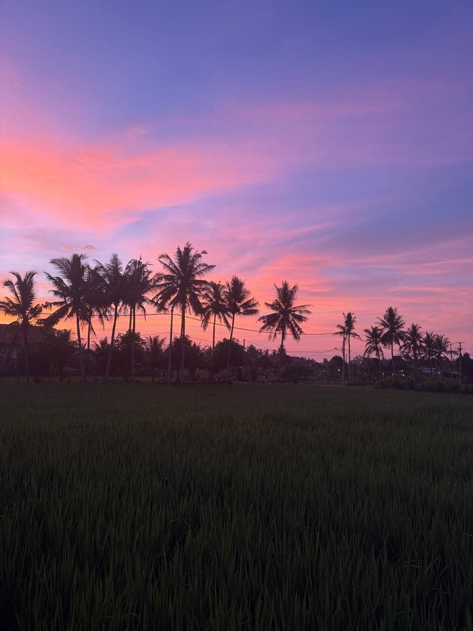 Балийское Блаженство. Волшебное Женское  Путешествие на изумрудном Острове Богов. (13/169)