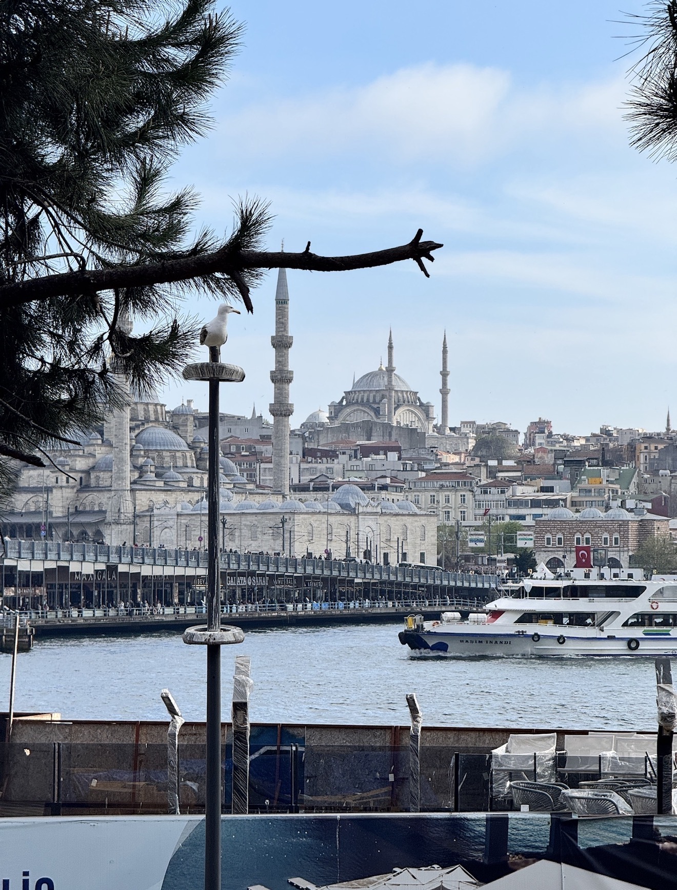 Фестиваль тюльпанов в Стамбуле (16/31)