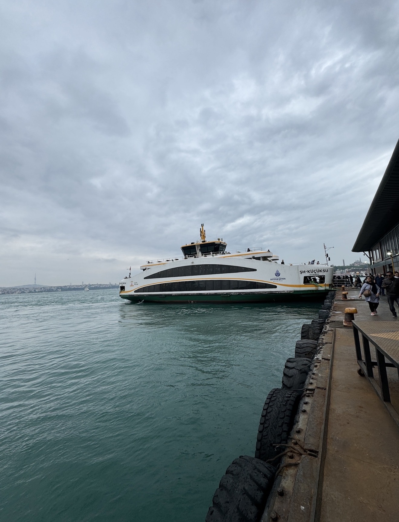 Фестиваль тюльпанов в Стамбуле (24/31)