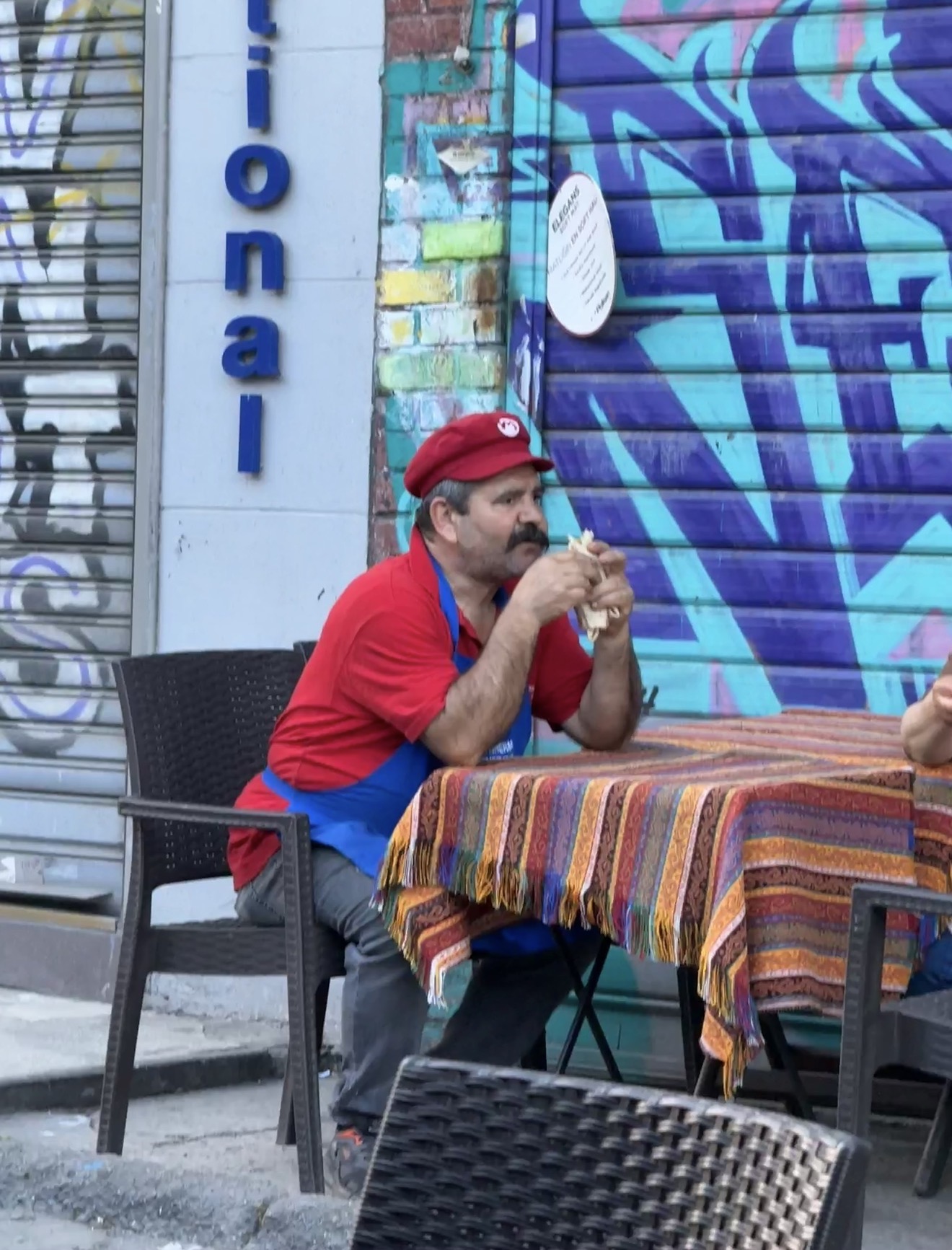 Фестиваль тюльпанов в Стамбуле (28/31)