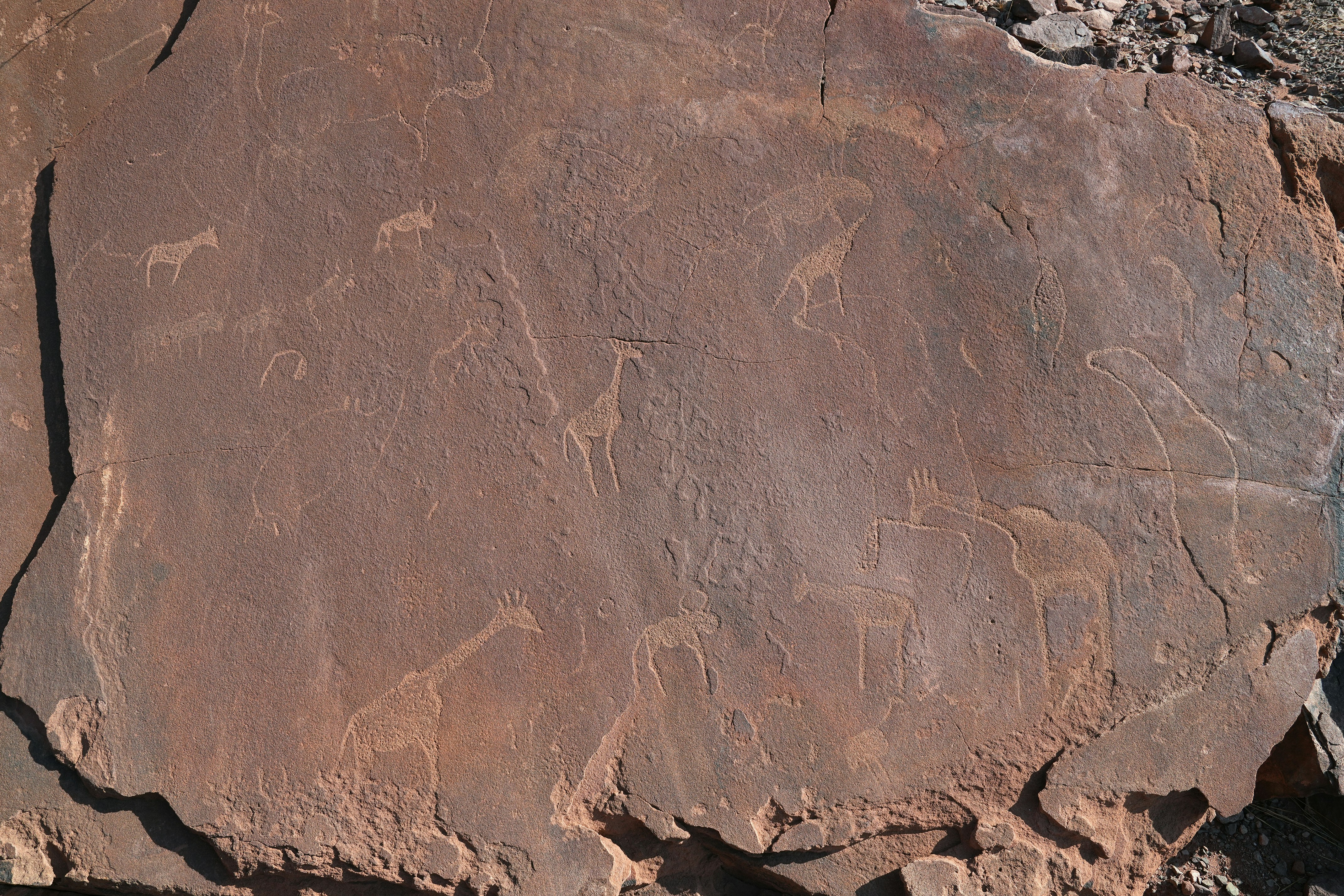 Тур в Намибию с сафари на 10 дней (14/20)