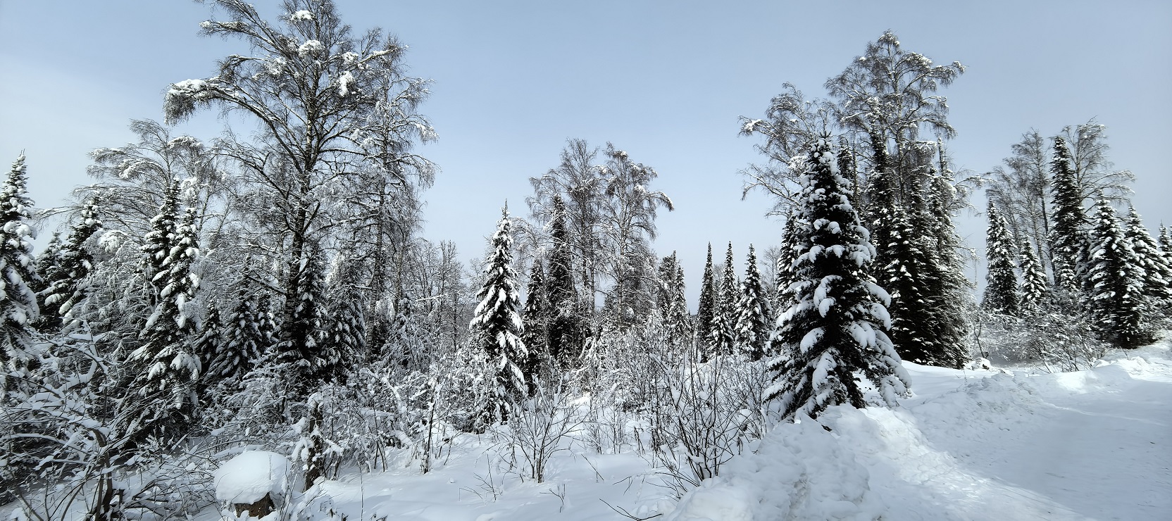 Велотур Зимний Горный Алтай. Телецкое озеро (5/29)