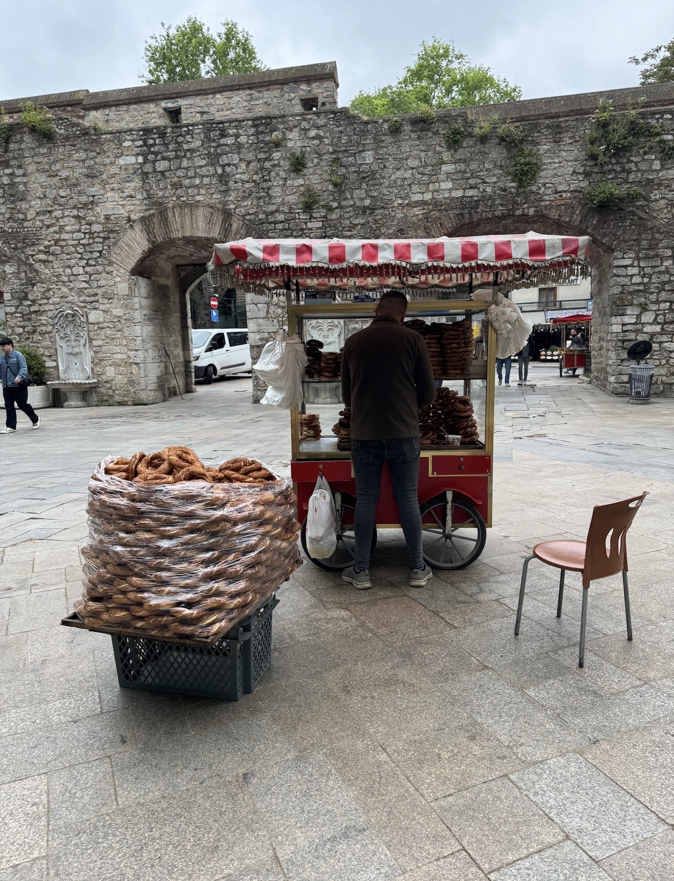 Фестиваль тюльпанов в Стамбуле (30/31)