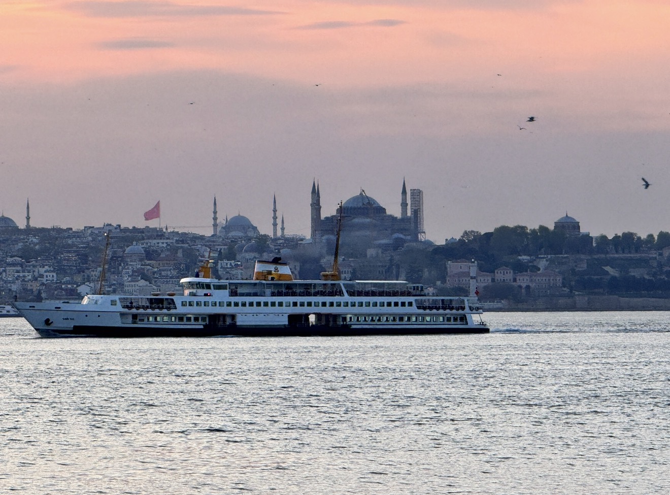 Фестиваль тюльпанов в Стамбуле (12/31)