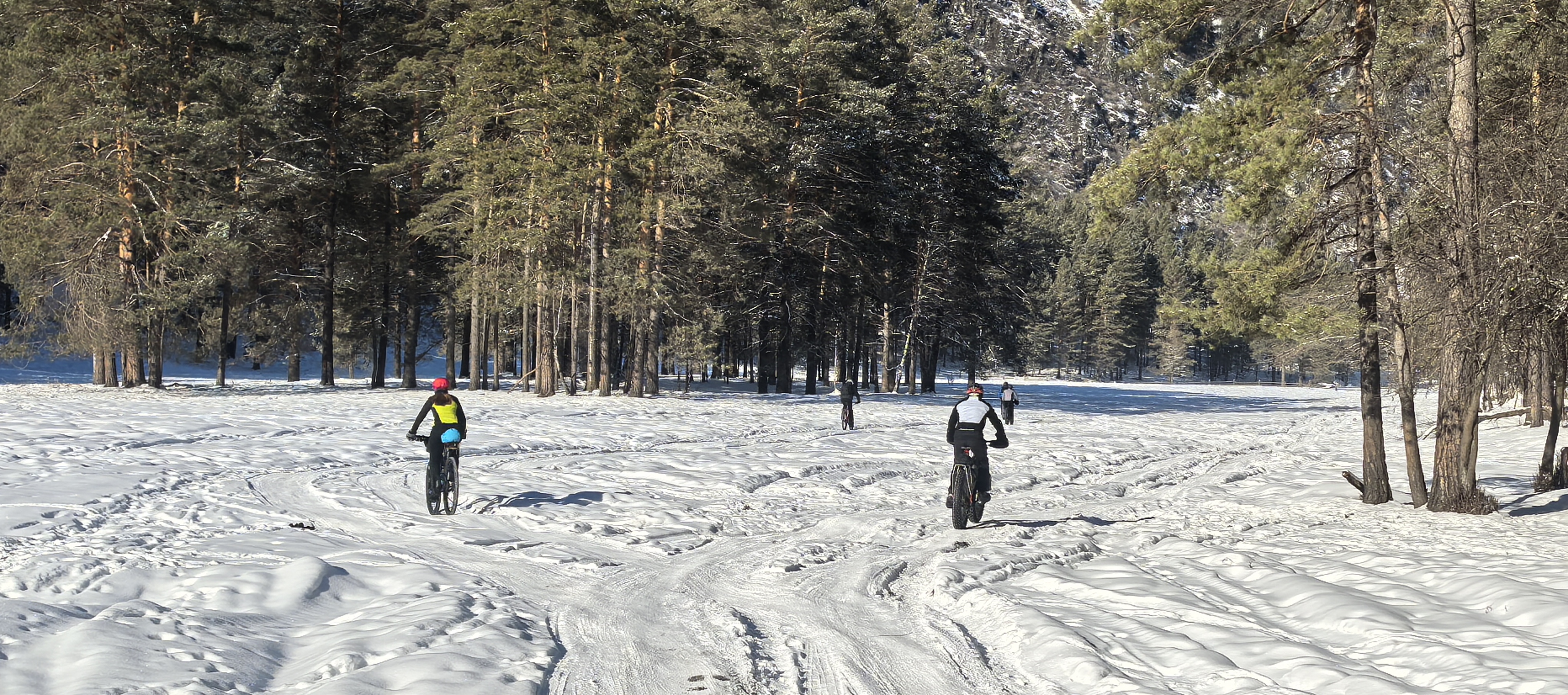 Велотур Зимний Горный Алтай. Чемальский тракт вдоль Катуни (20/42)