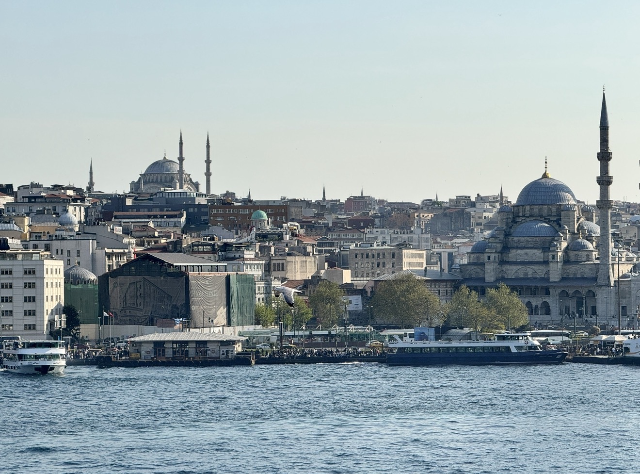 Фестиваль тюльпанов в Стамбуле (21/31)