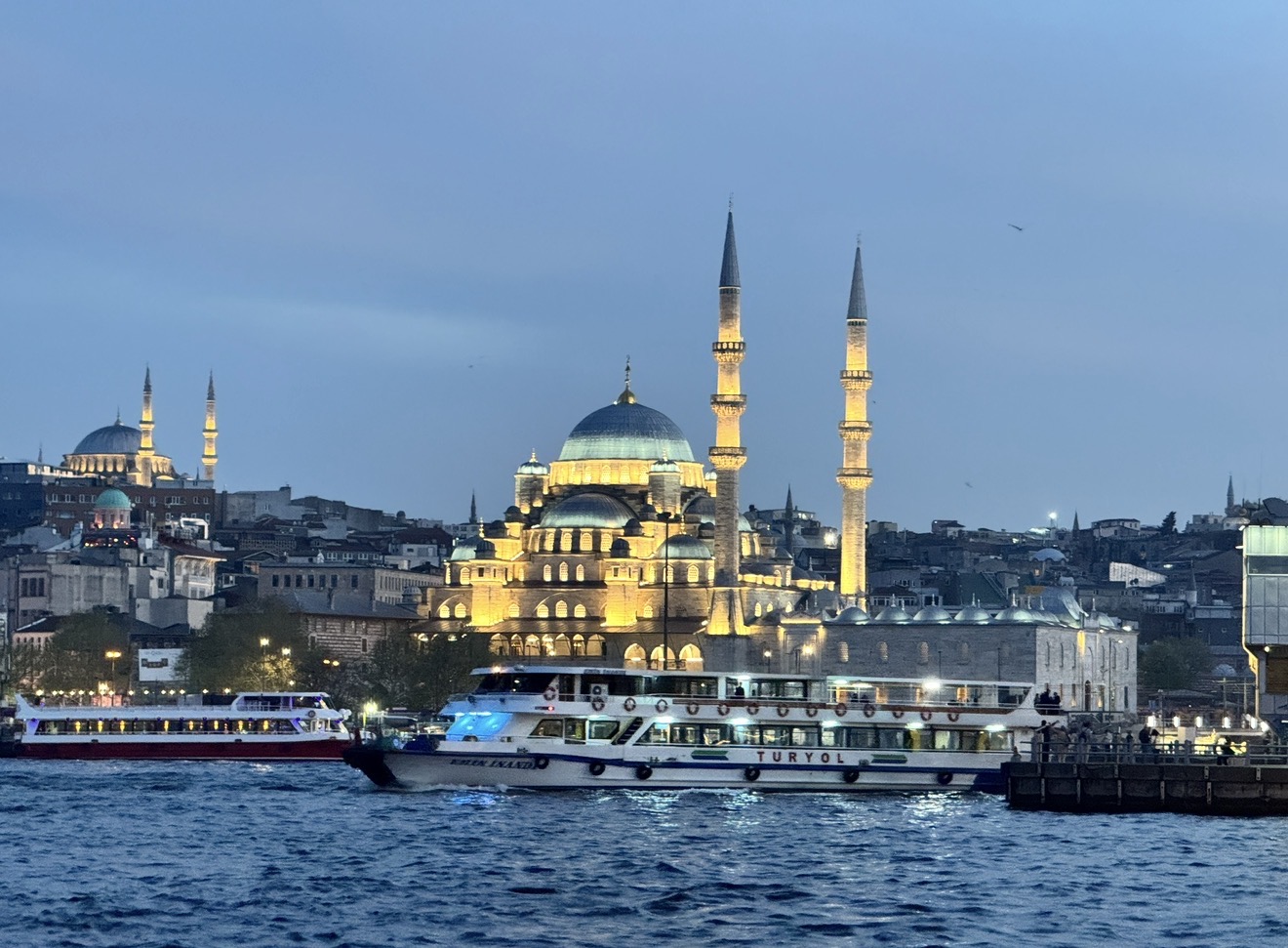 Фестиваль тюльпанов в Стамбуле (19/31)