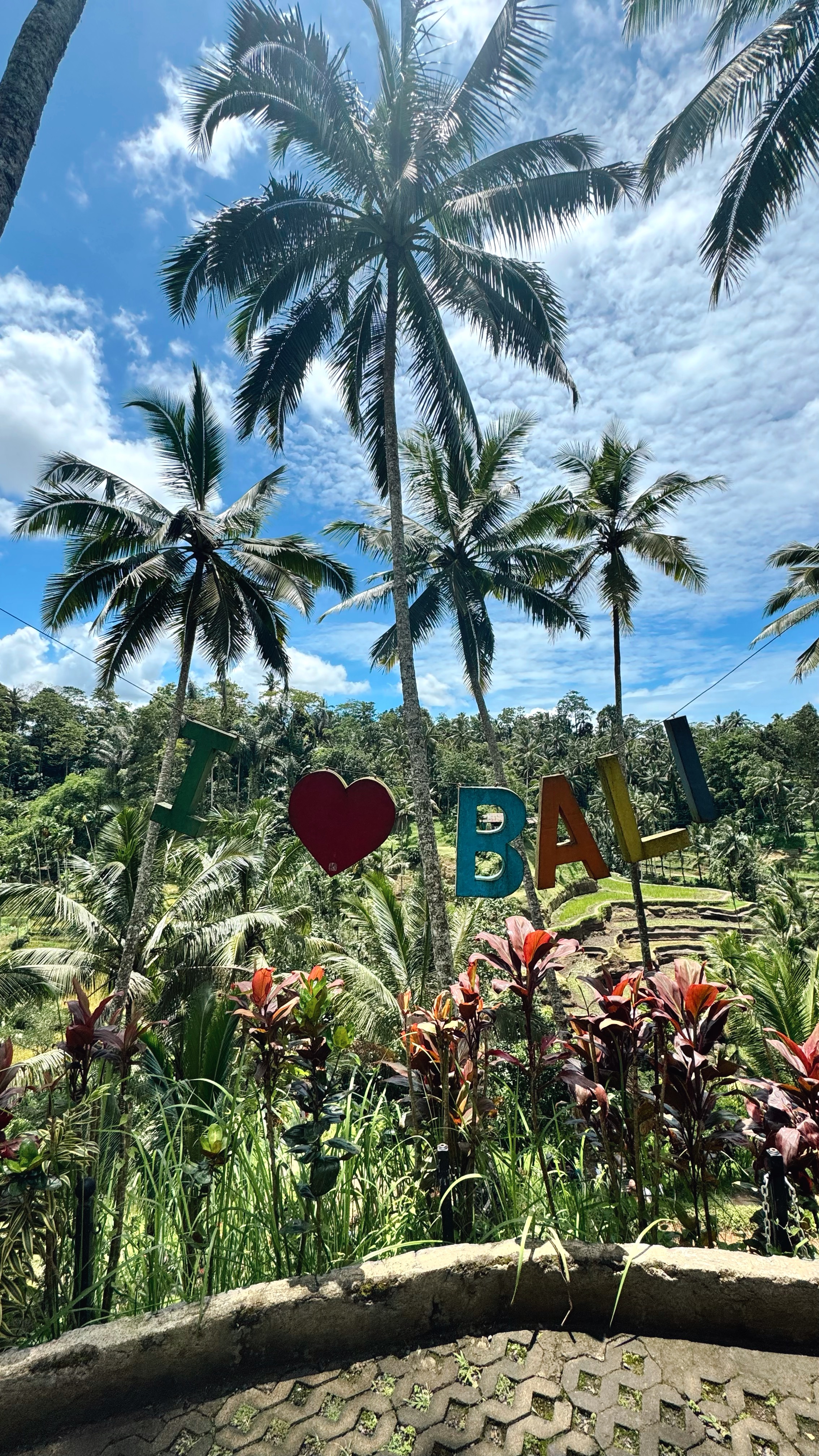 Балийское Блаженство. Волшебное Женское  Путешествие на изумрудном Острове Богов. (32/169)