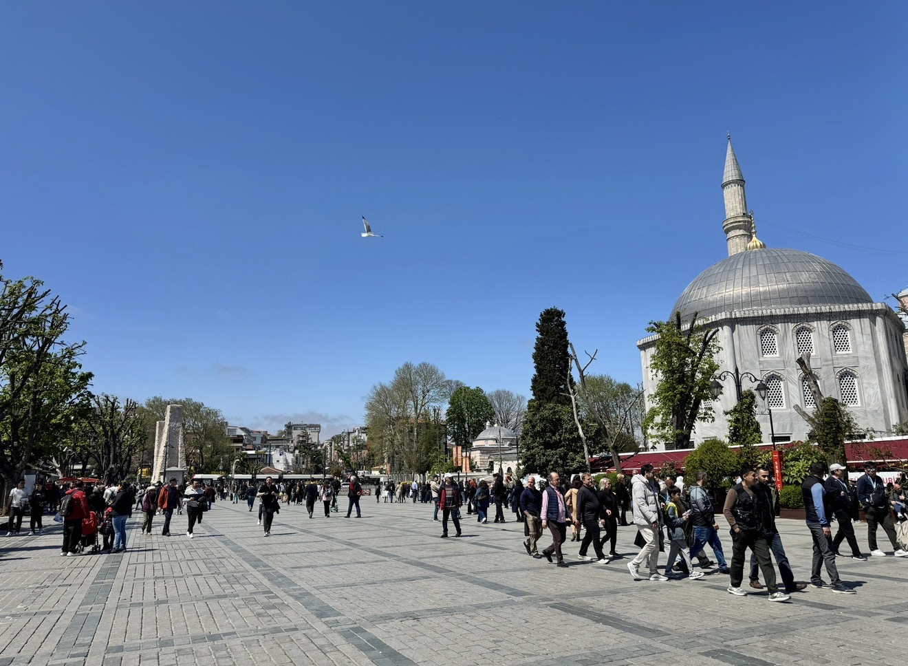 Фестиваль тюльпанов в Стамбуле (20/31)