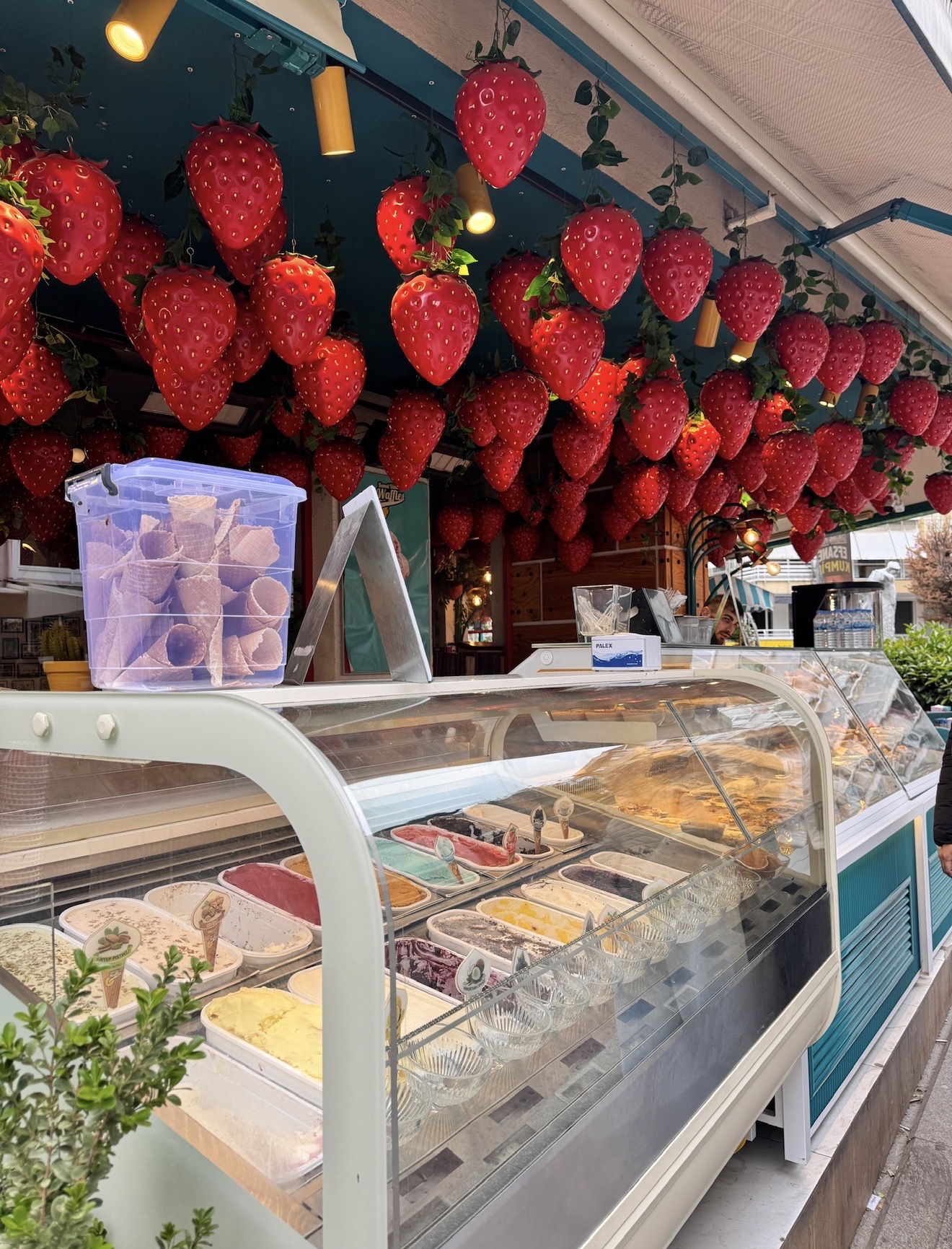 Фестиваль тюльпанов в Стамбуле (3/31)